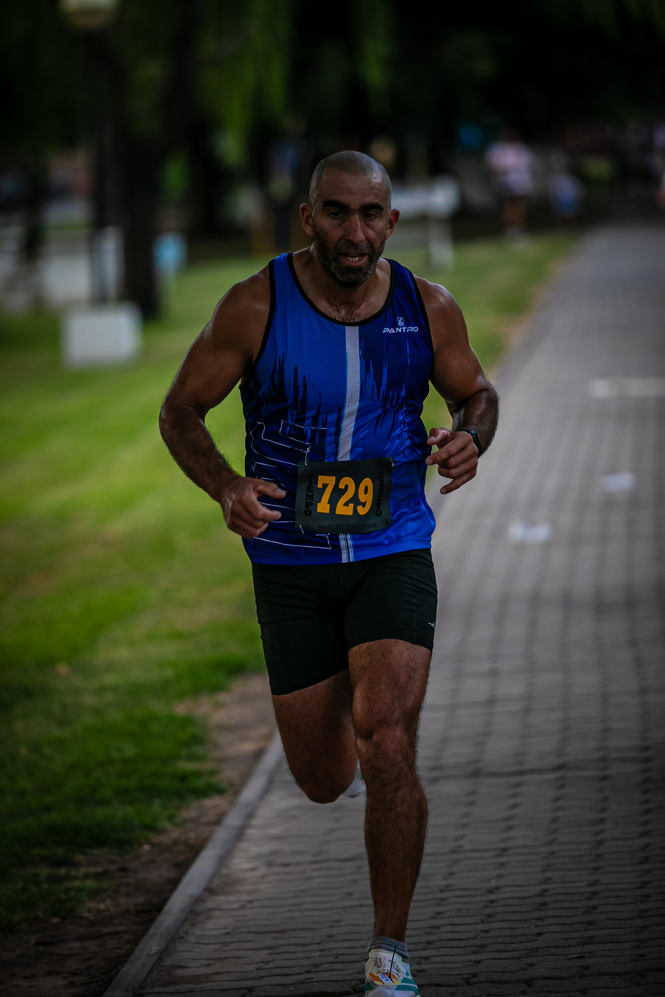 Foto Dorsal 729