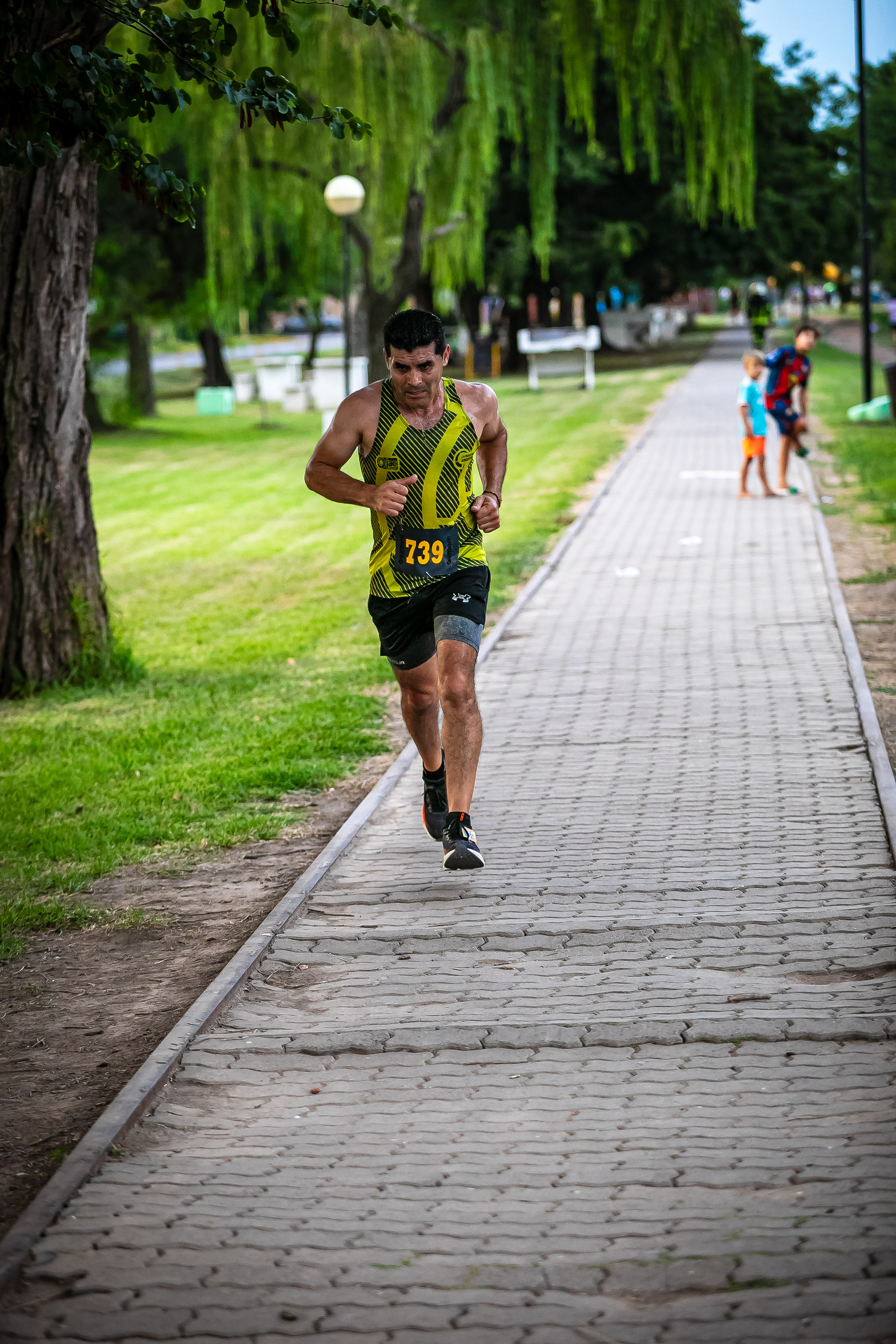 Foto Dorsal 739