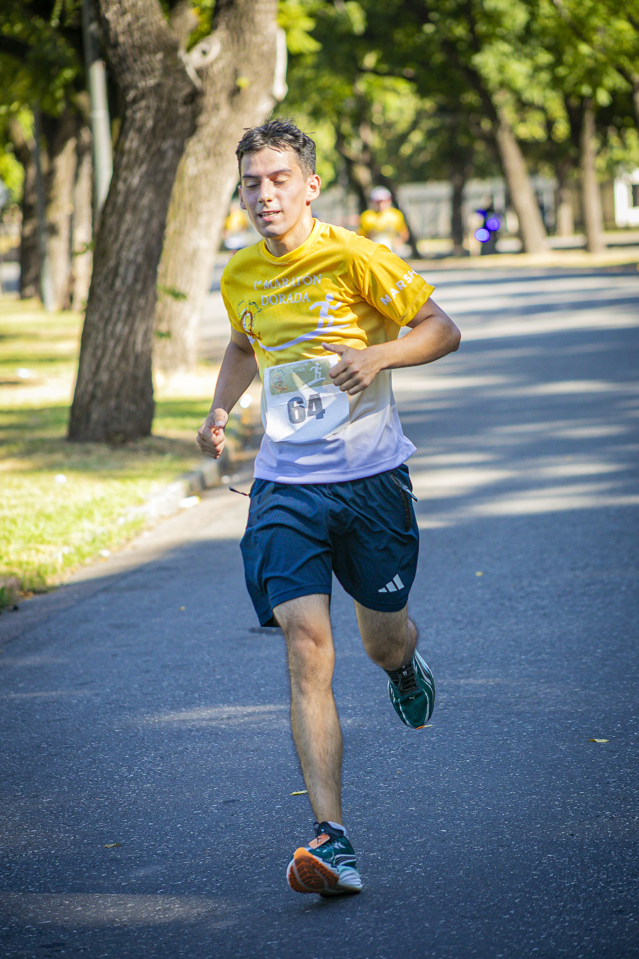Foto Dorsal 64