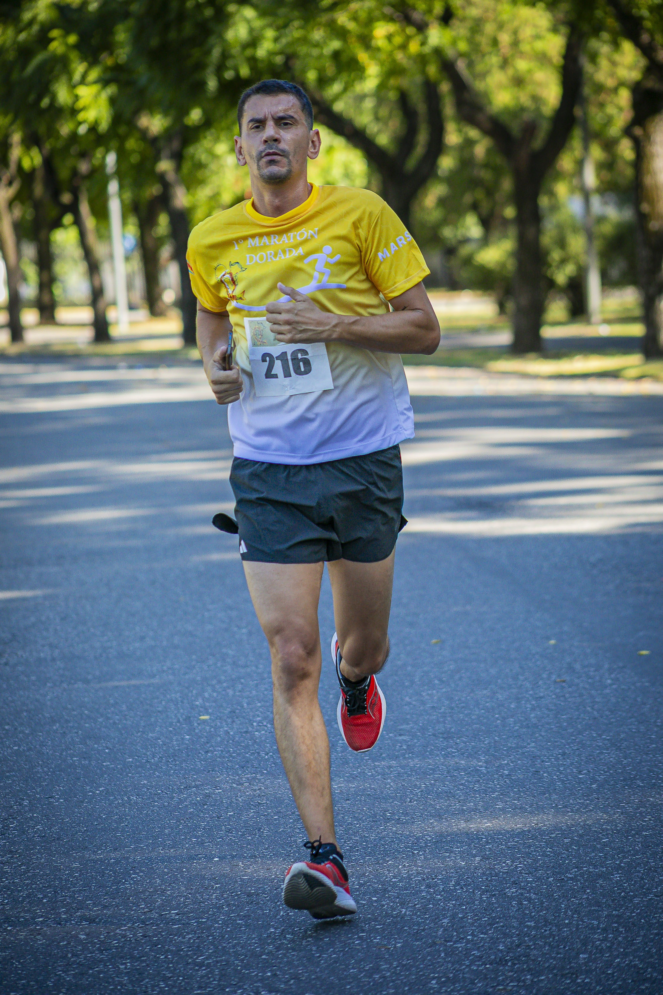 Foto Dorsal 216