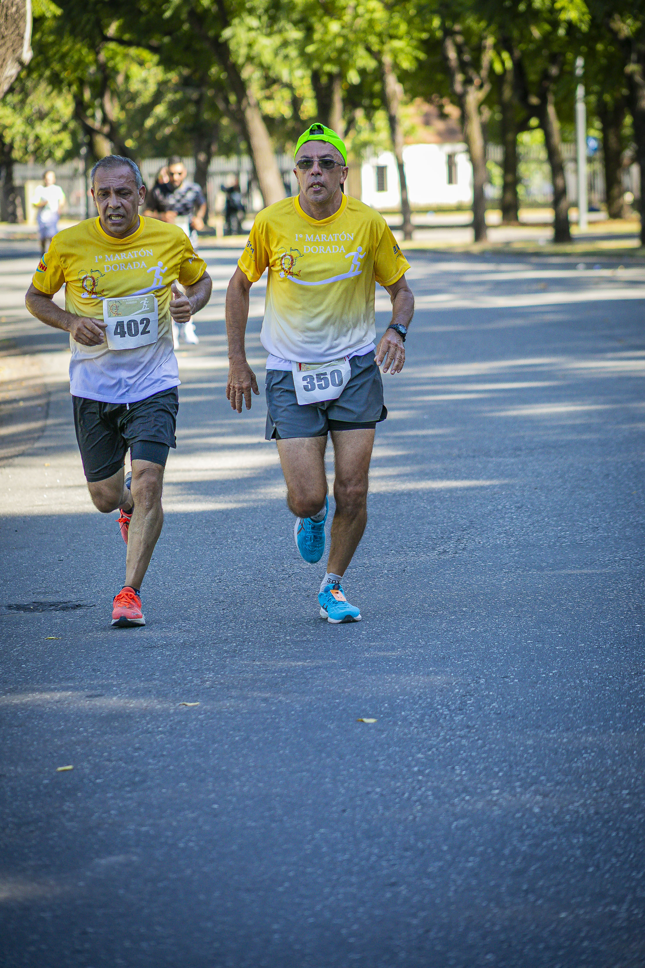 Foto Dorsal 350
