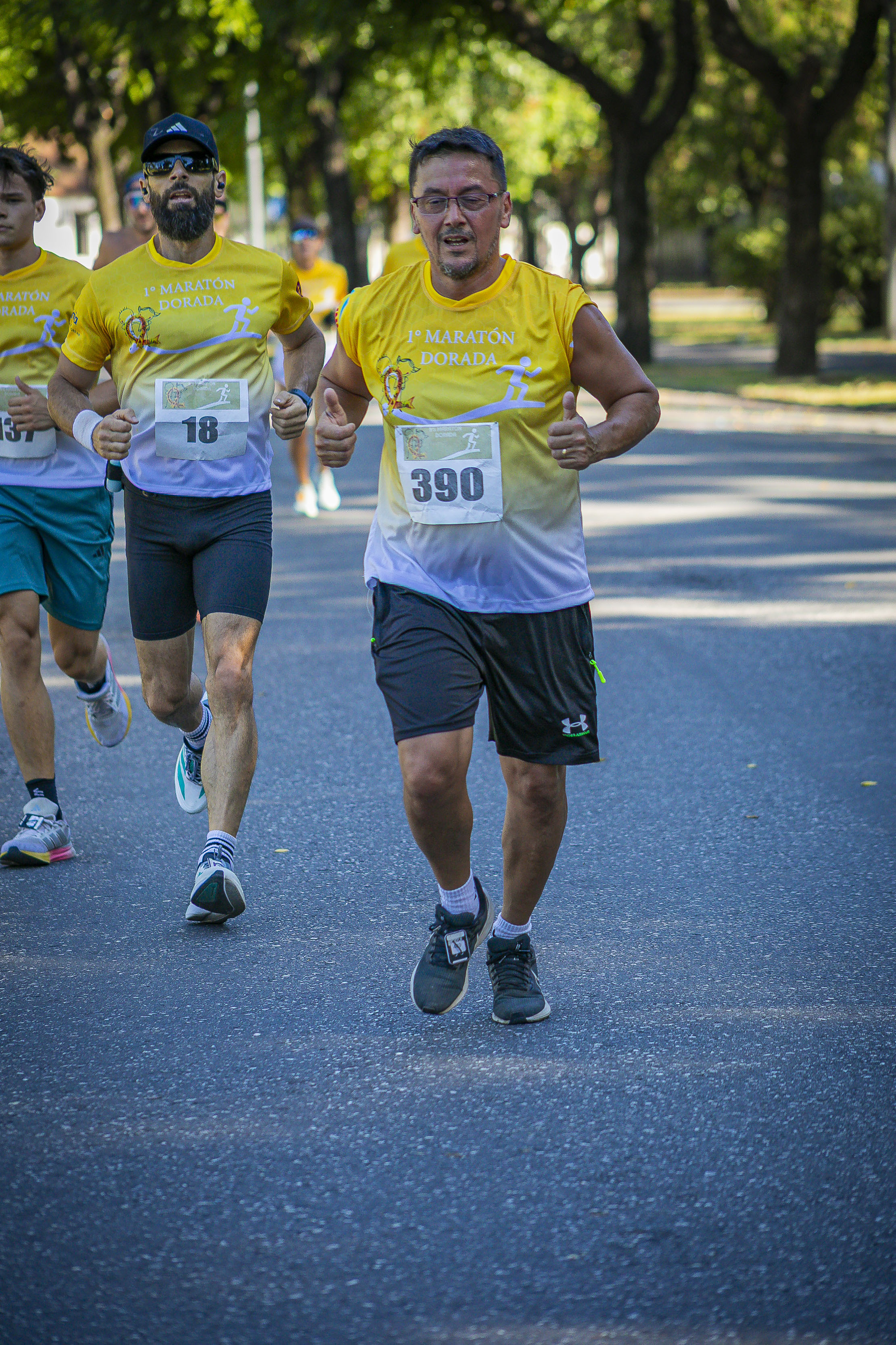 Foto Dorsal 390