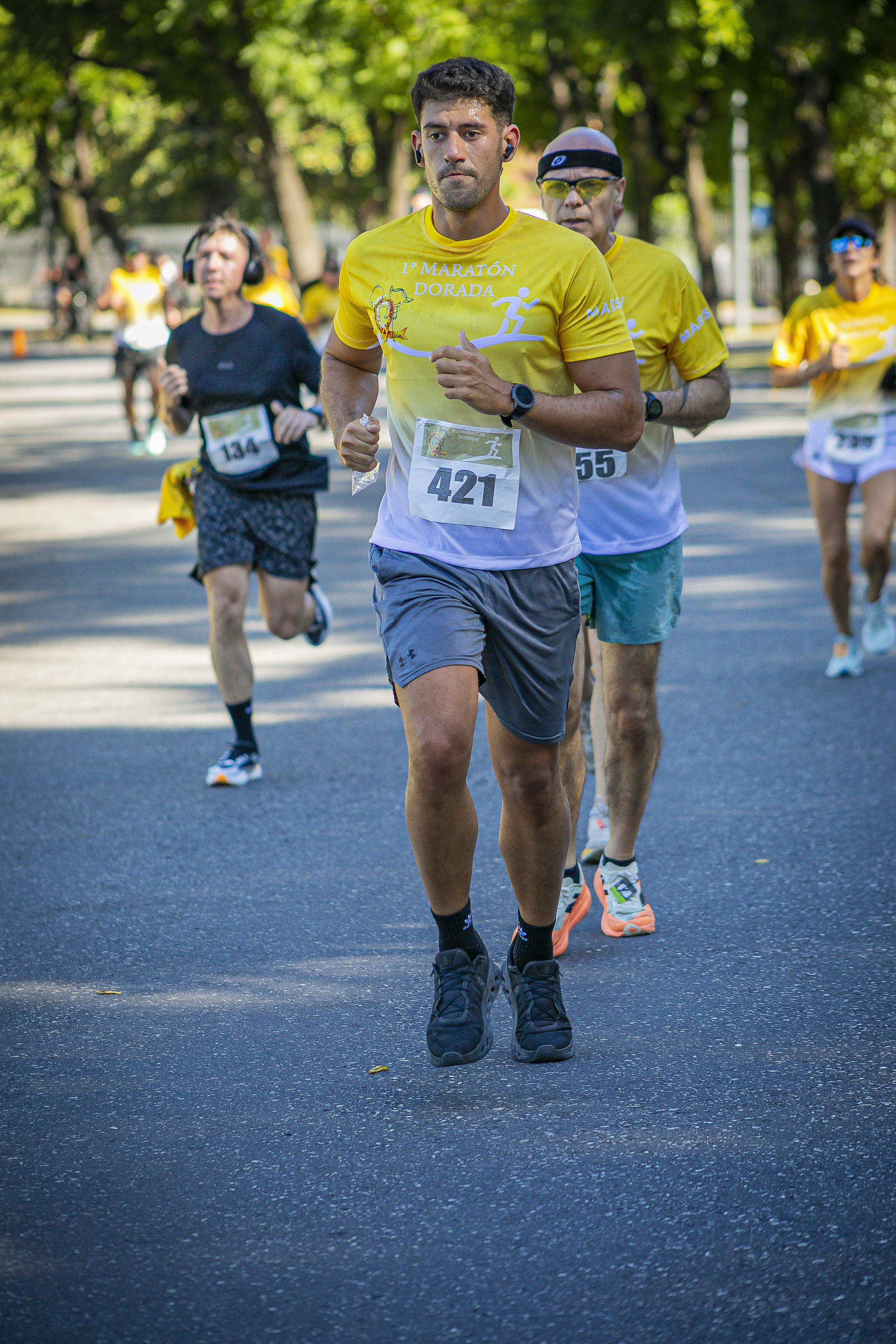 Foto Dorsal 421