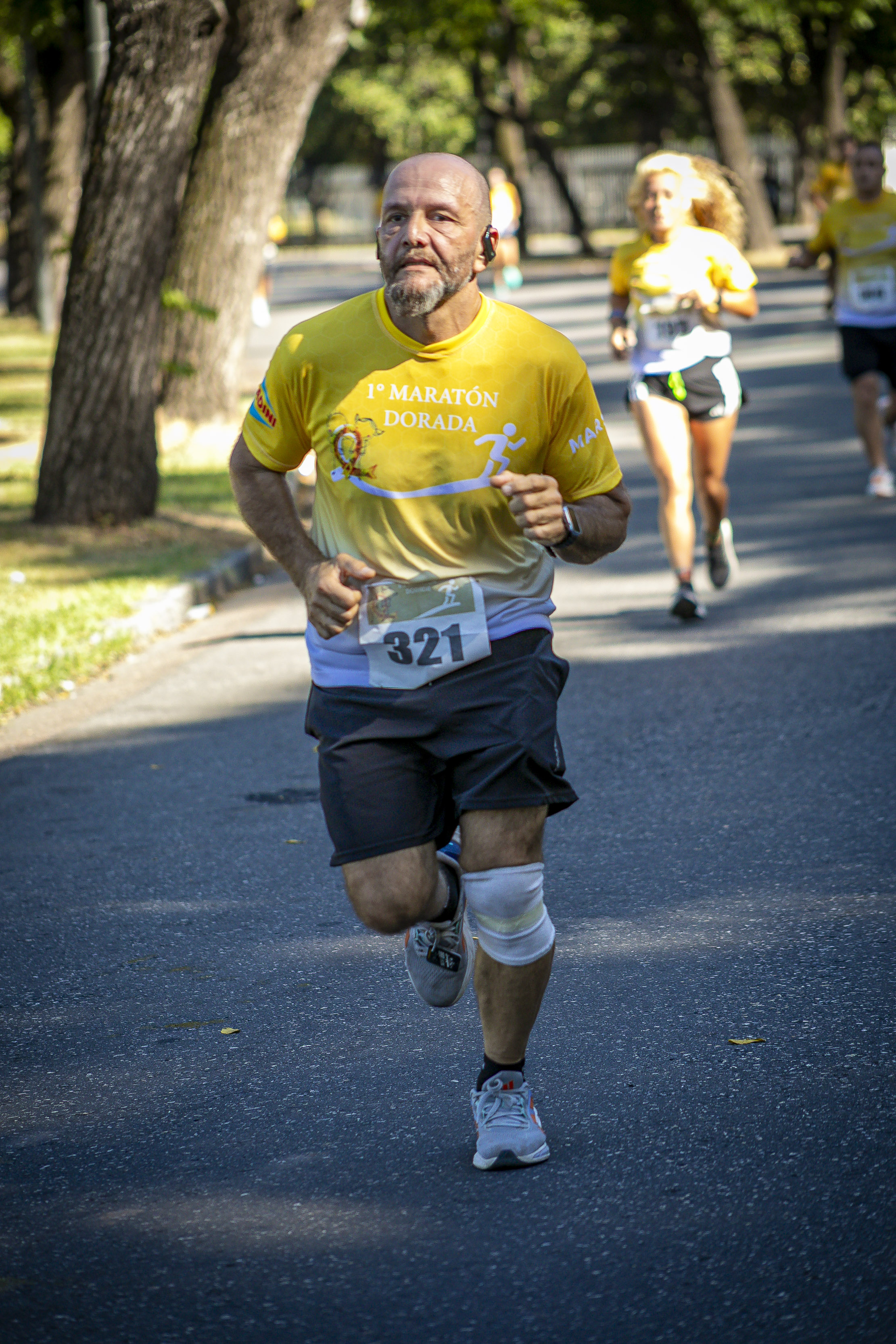 Foto Dorsal 321