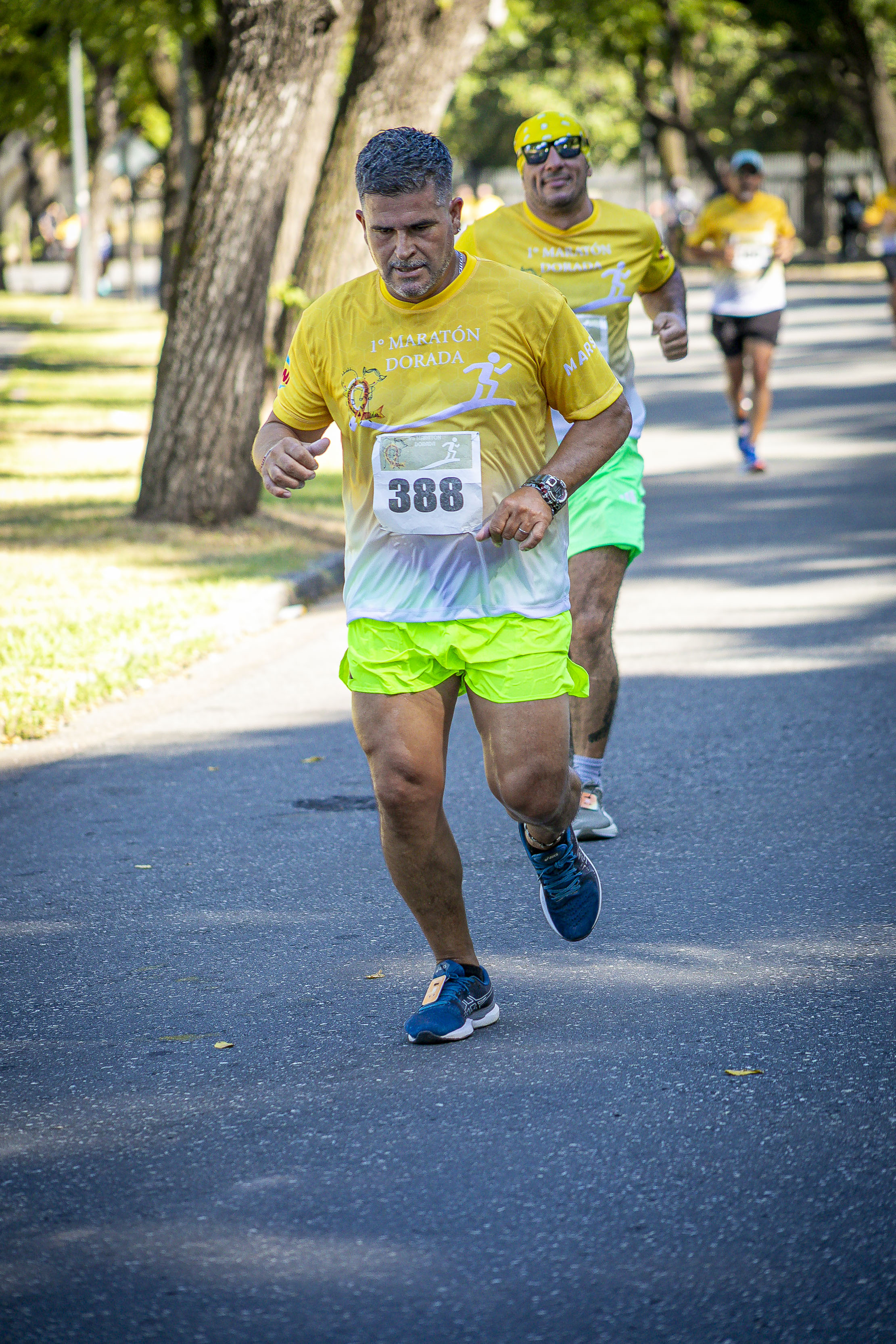 Foto Dorsal 388