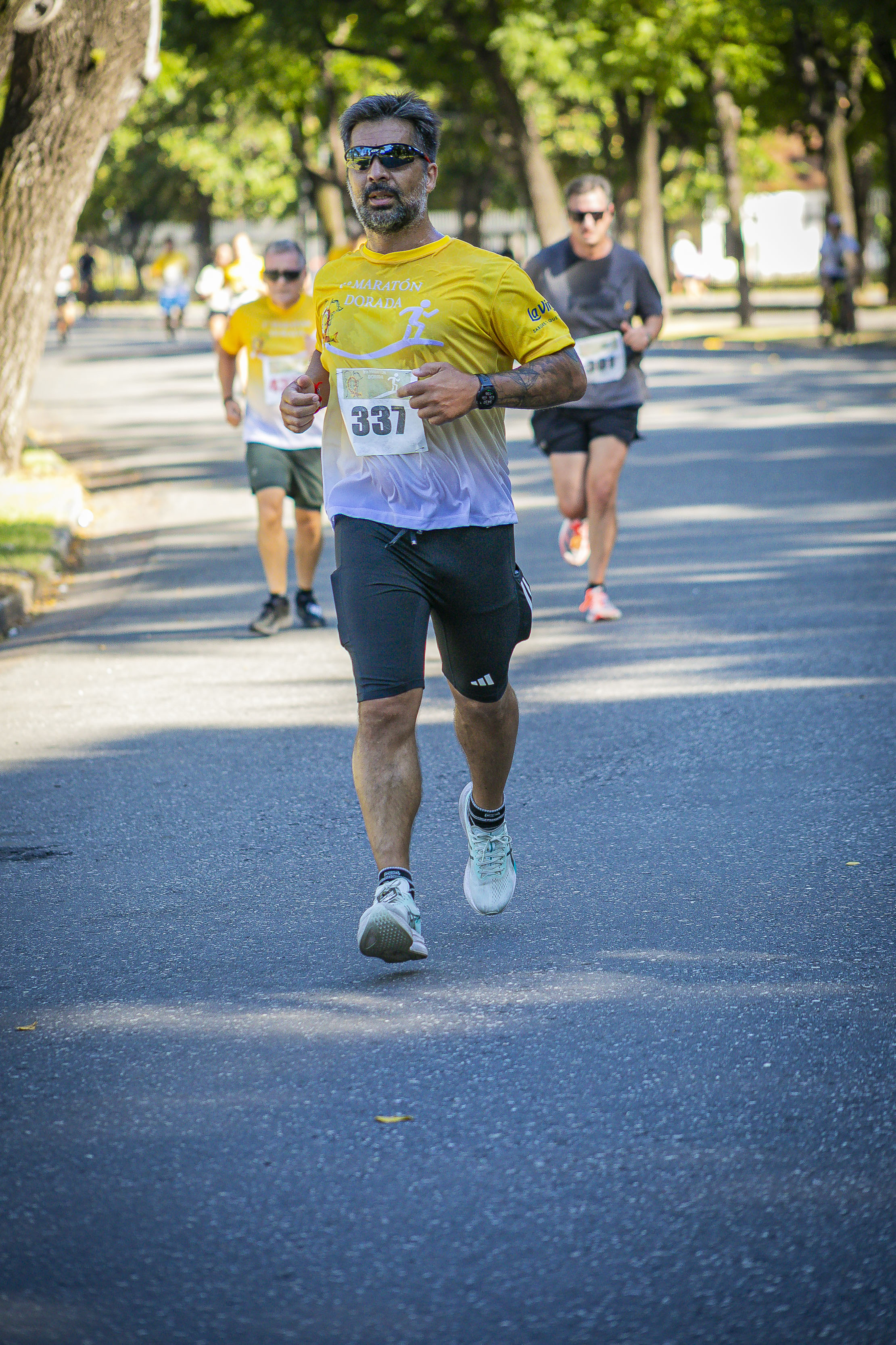 Foto Dorsal 337