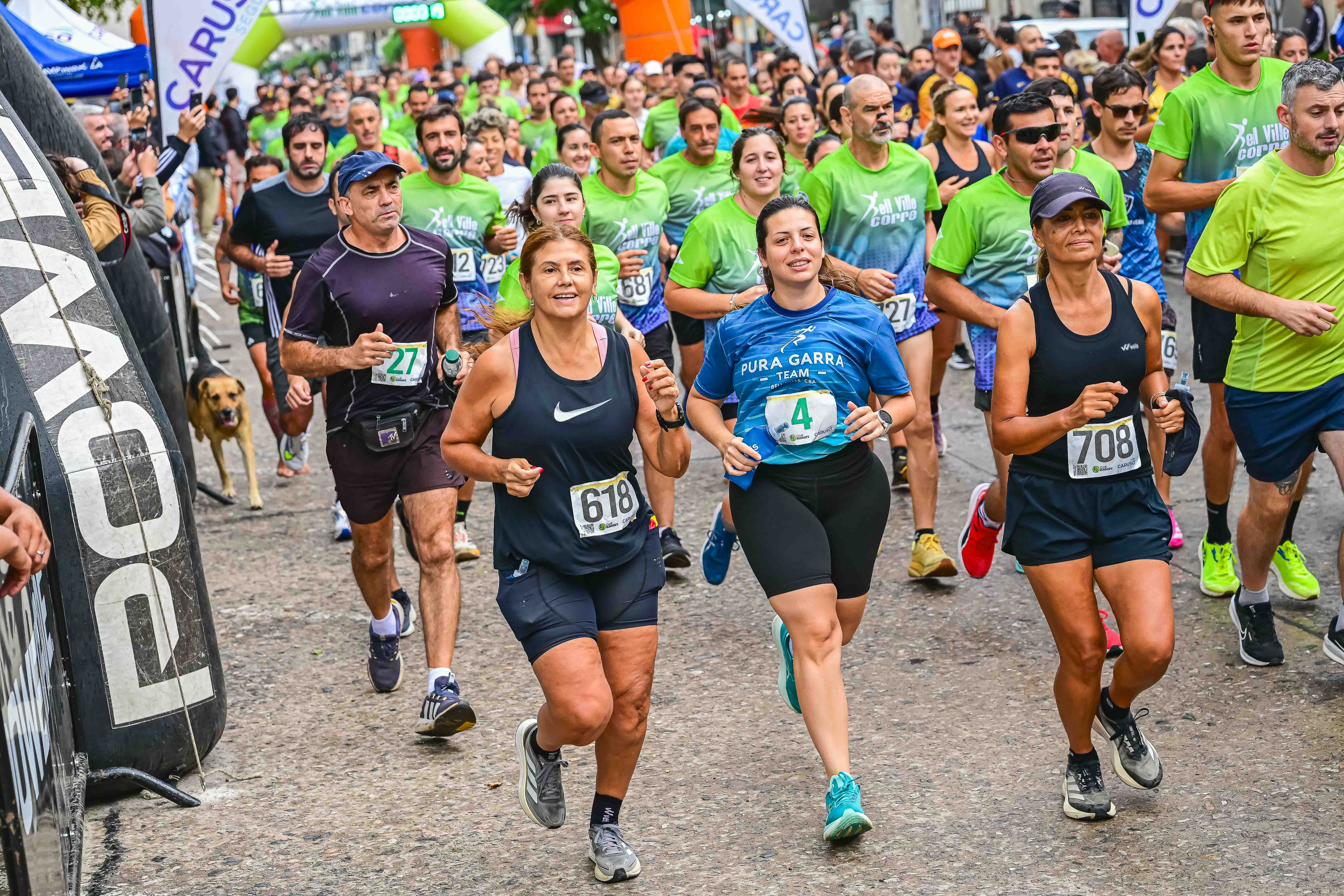 Foto Dorsal 708