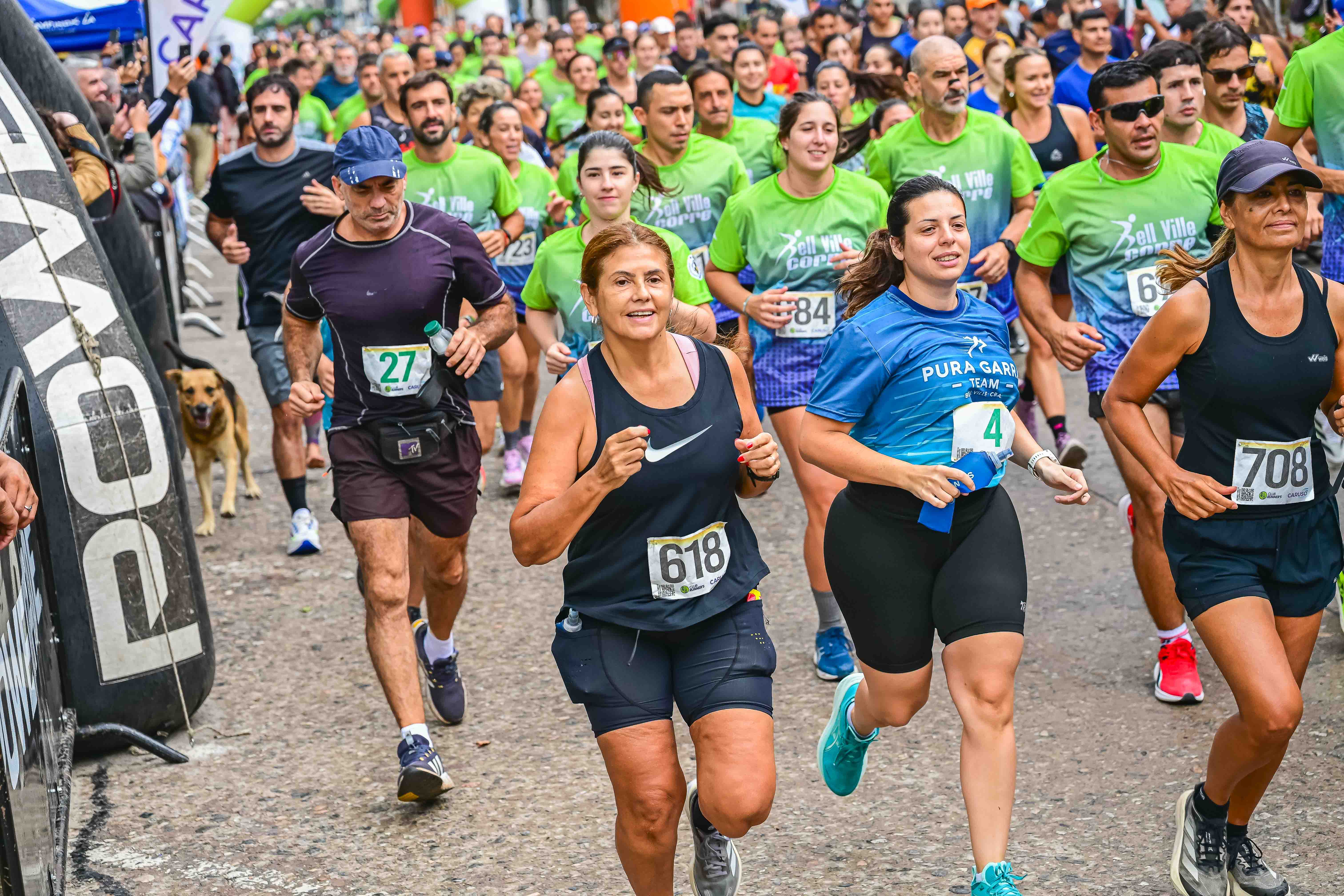 Foto Dorsal 708