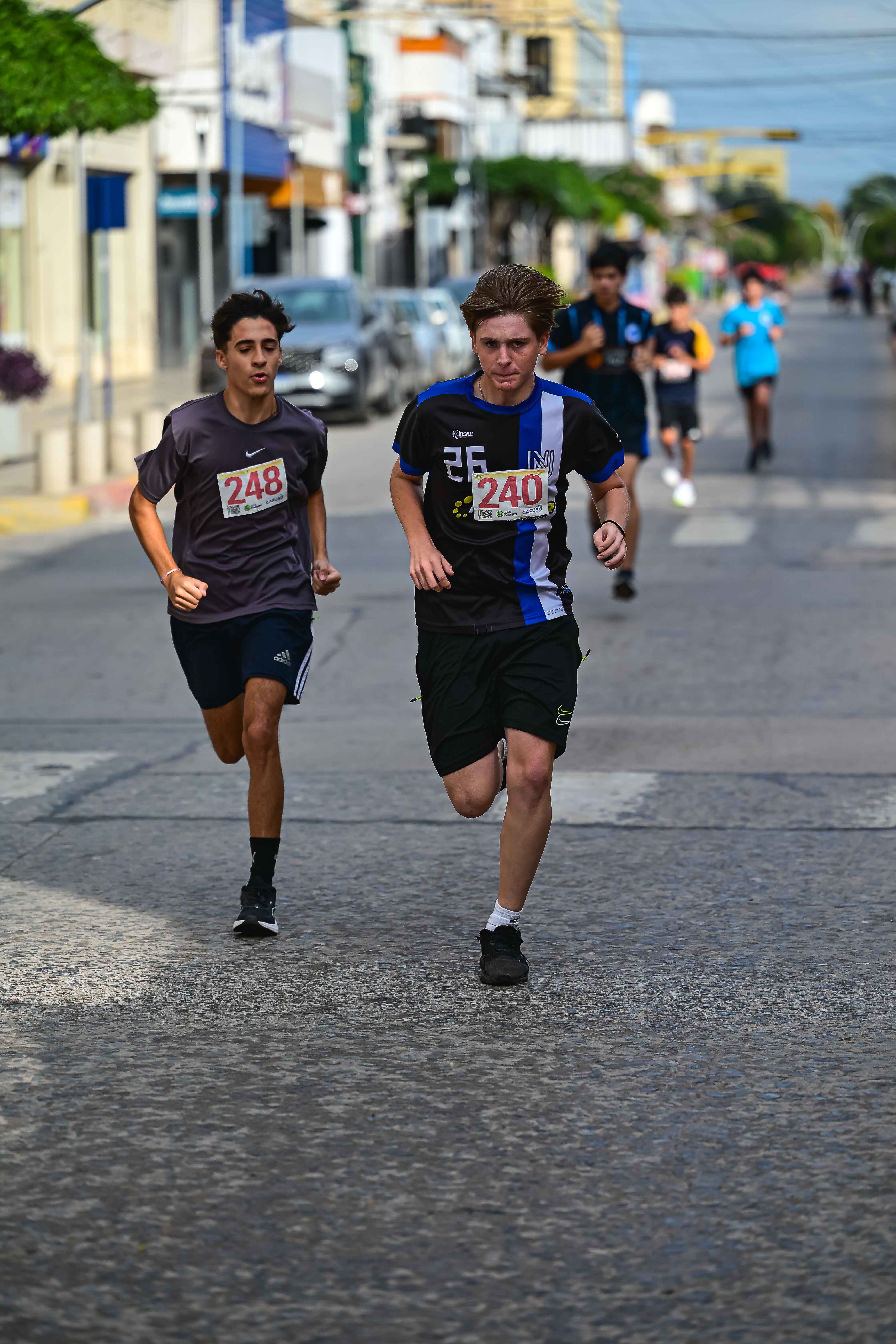 Foto Dorsal 240