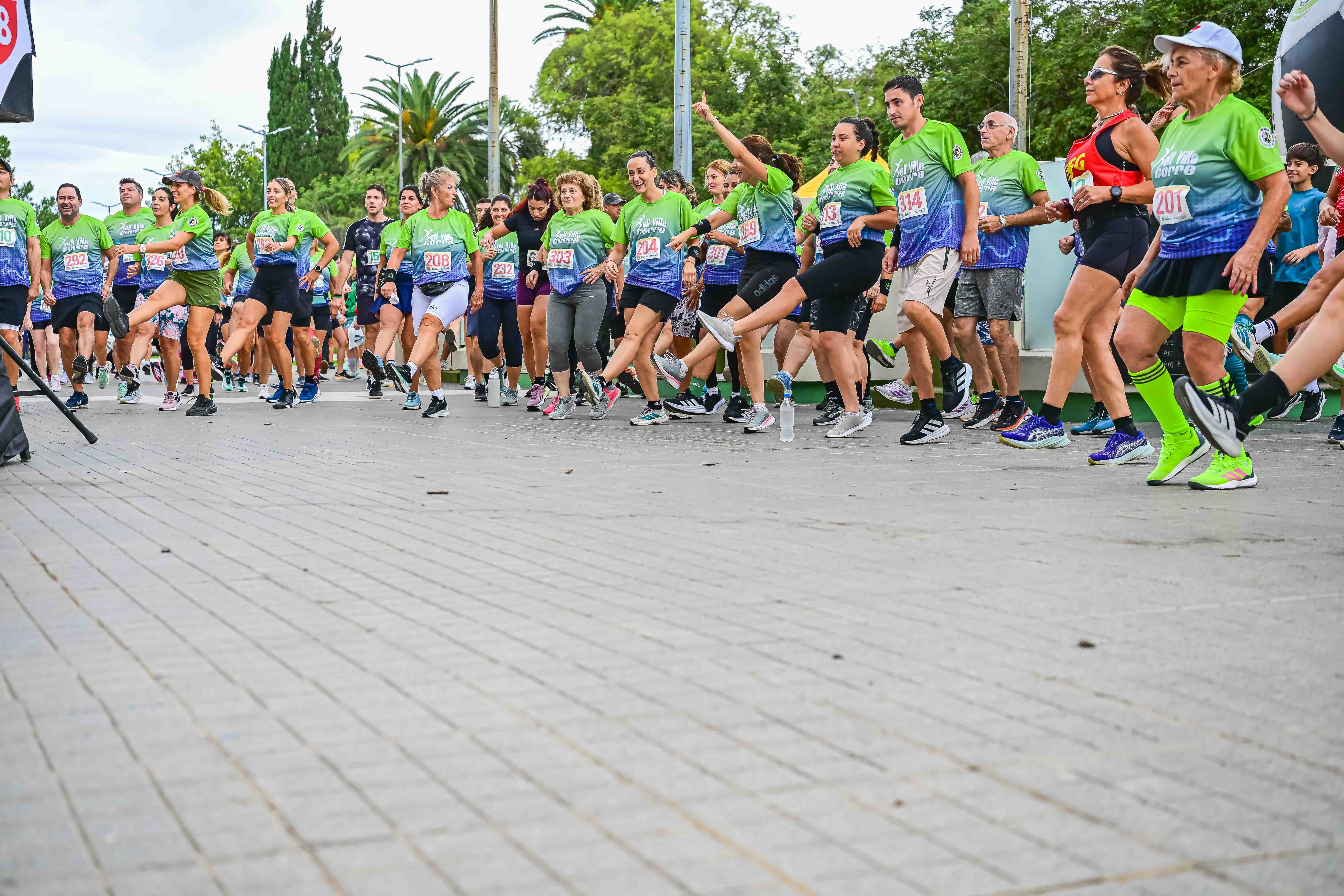 Foto Dorsal 201