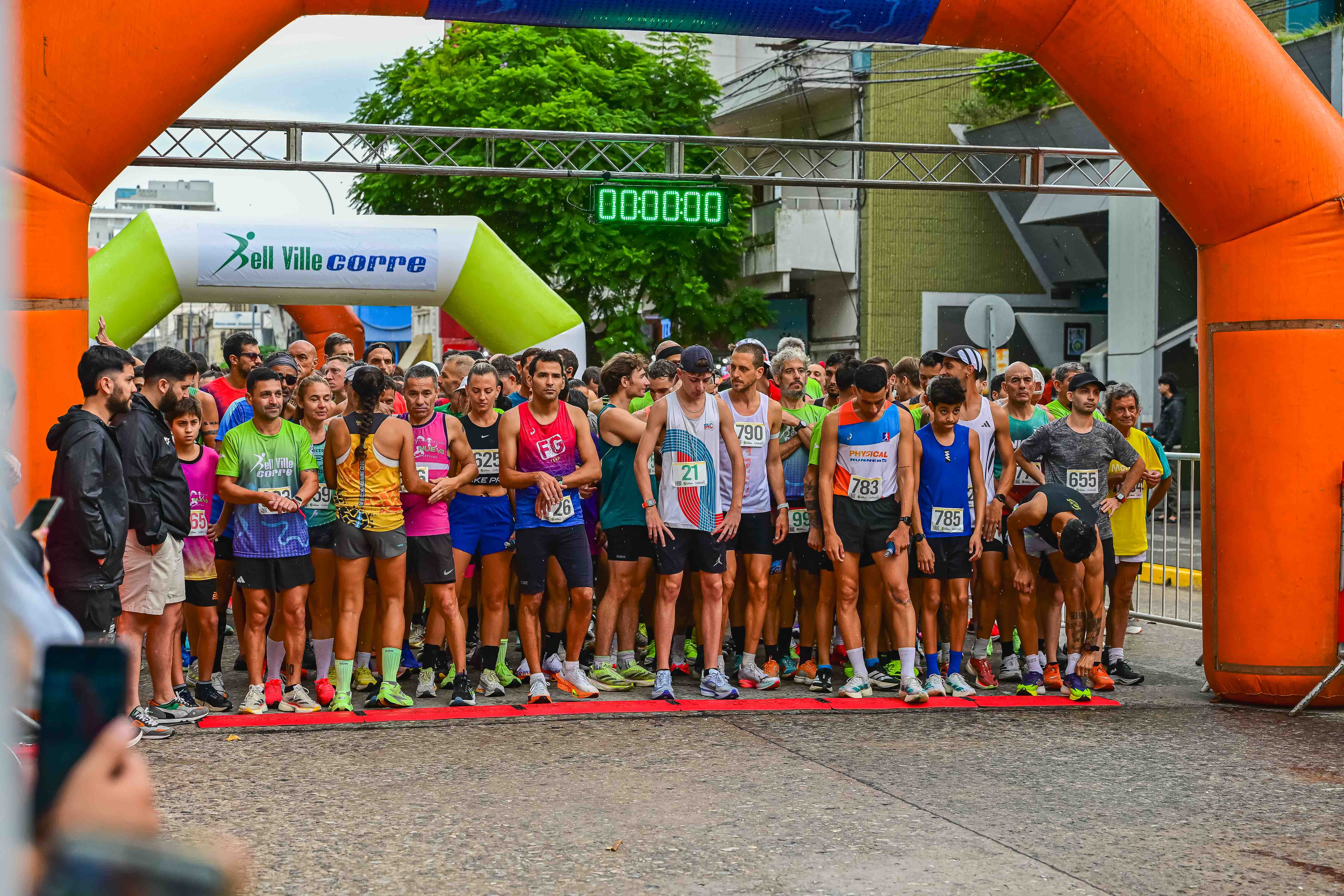 Foto Dorsal 655