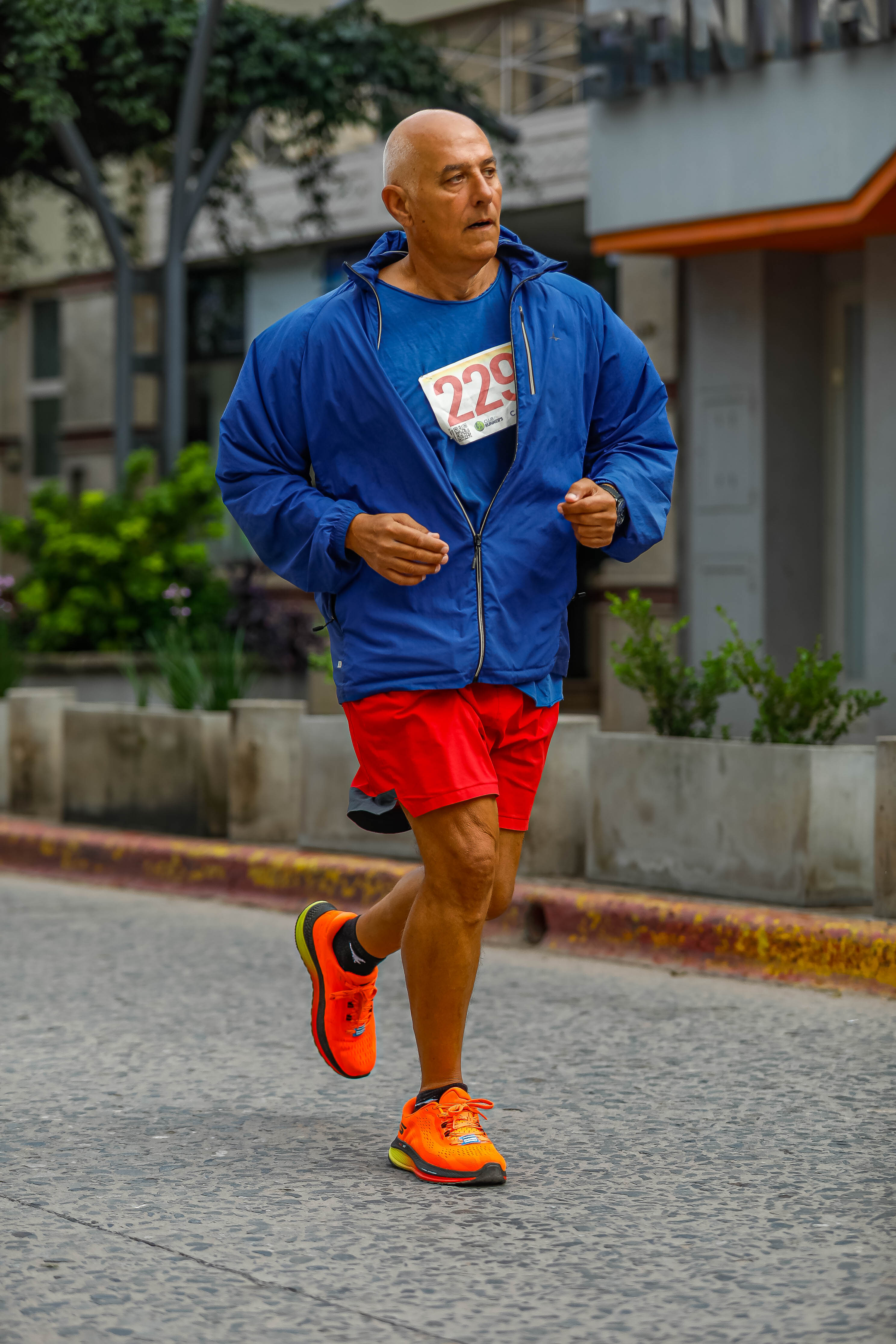 Foto Dorsal 229