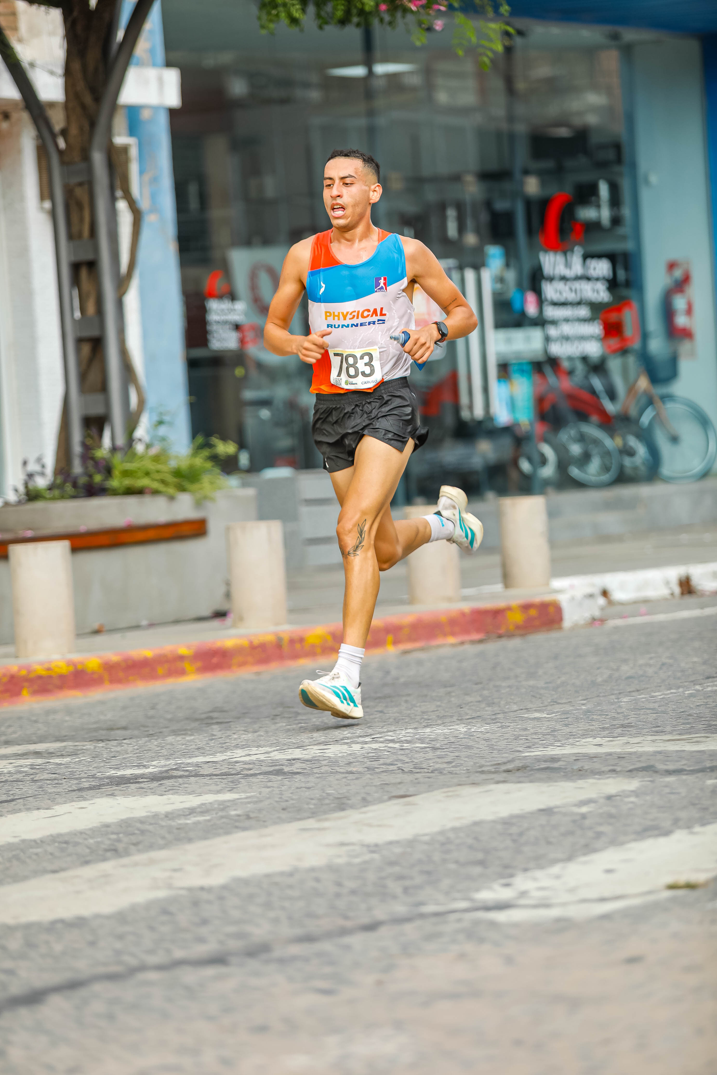 Foto Dorsal 783