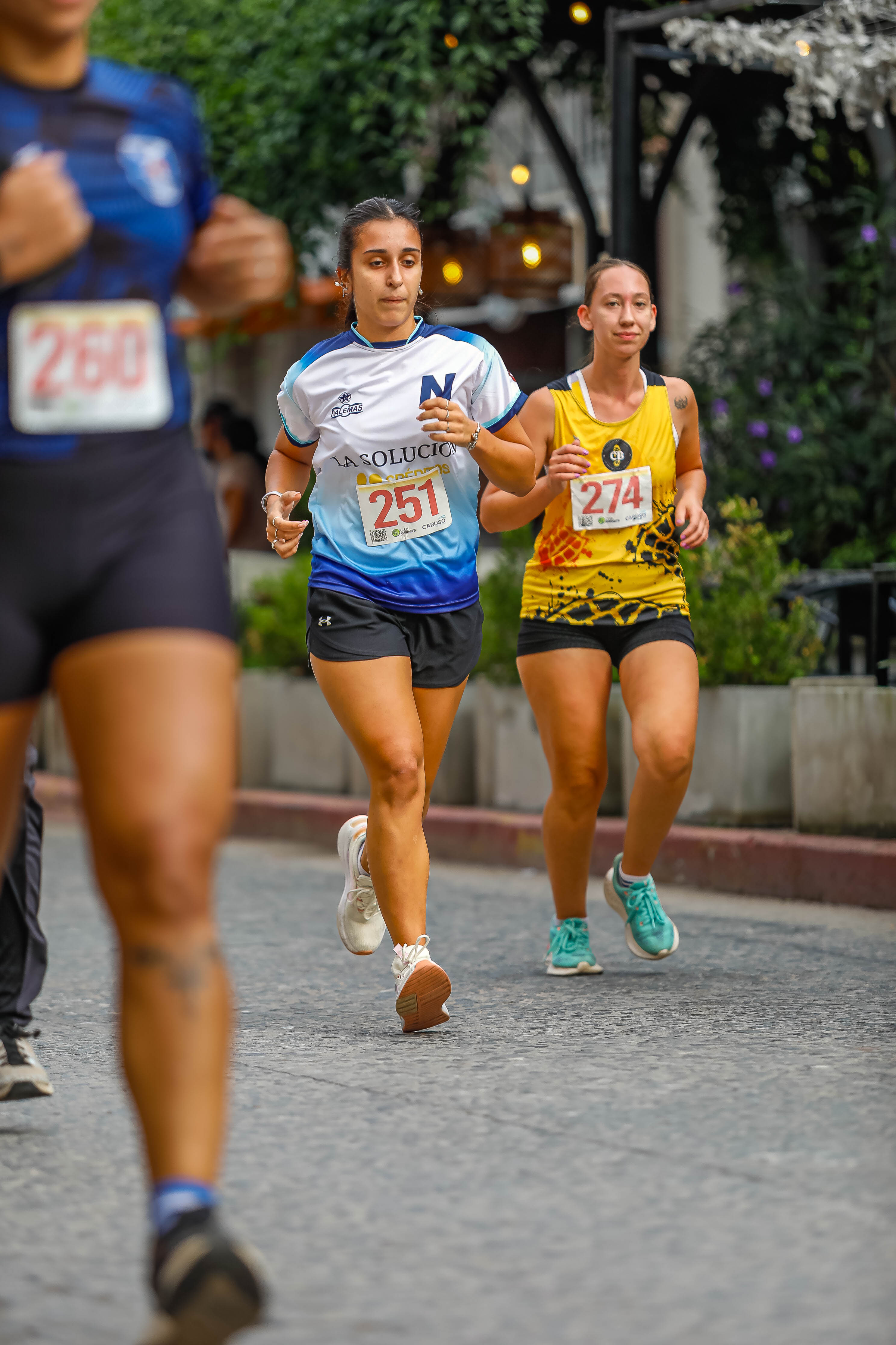 Foto Dorsal 251