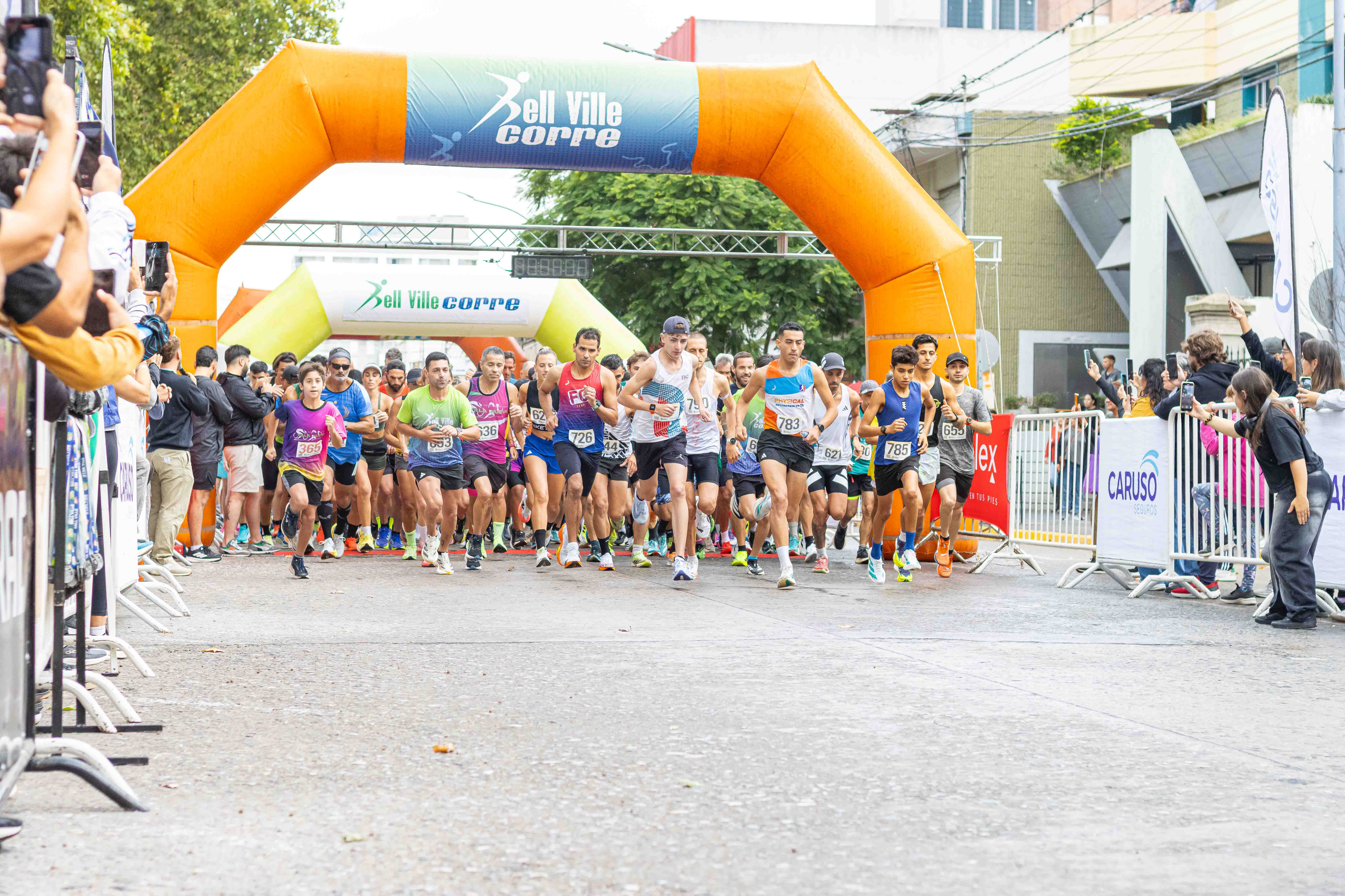 Foto Dorsal 726