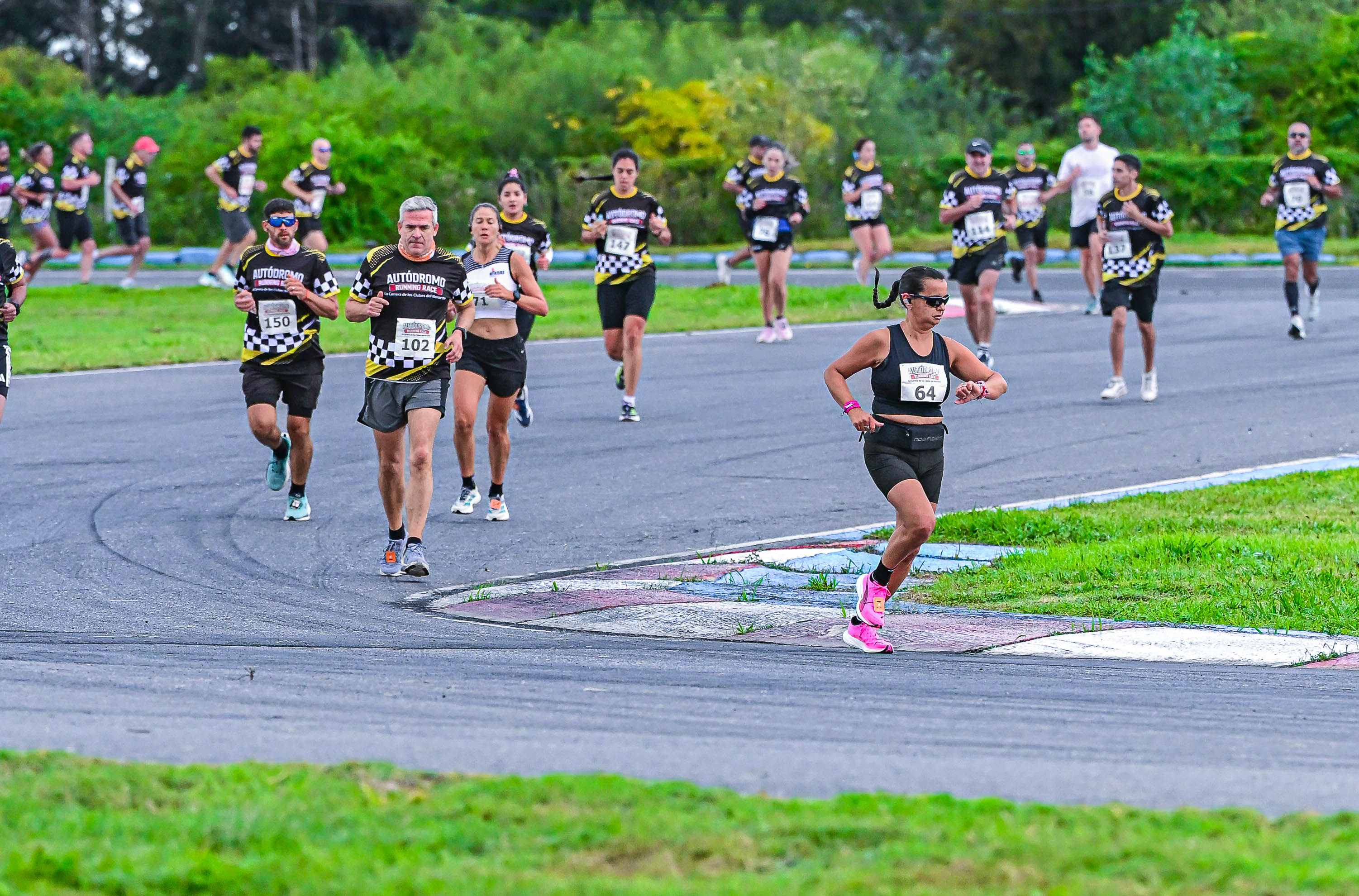 Foto Dorsal 102