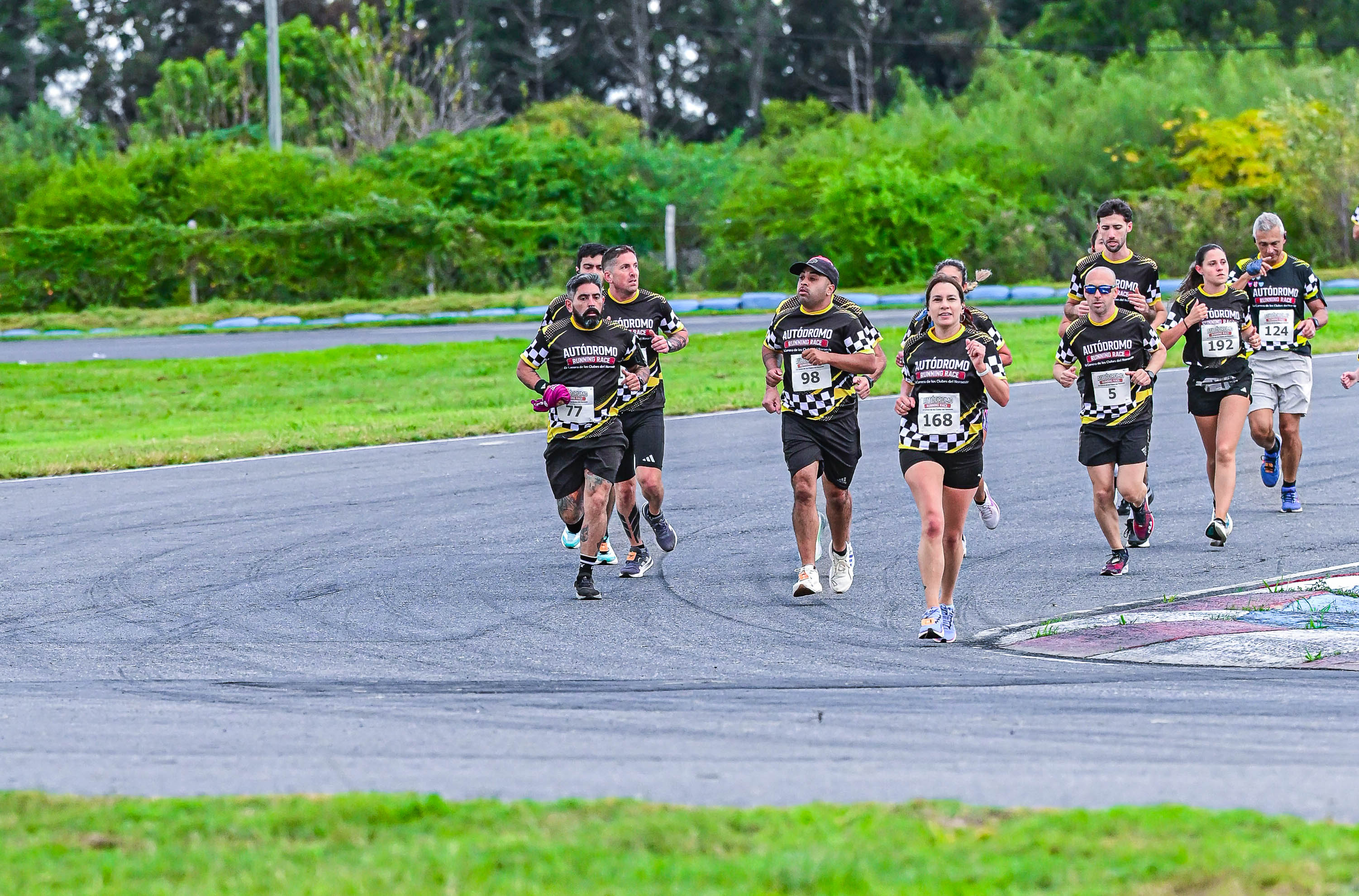 Foto Dorsal 168