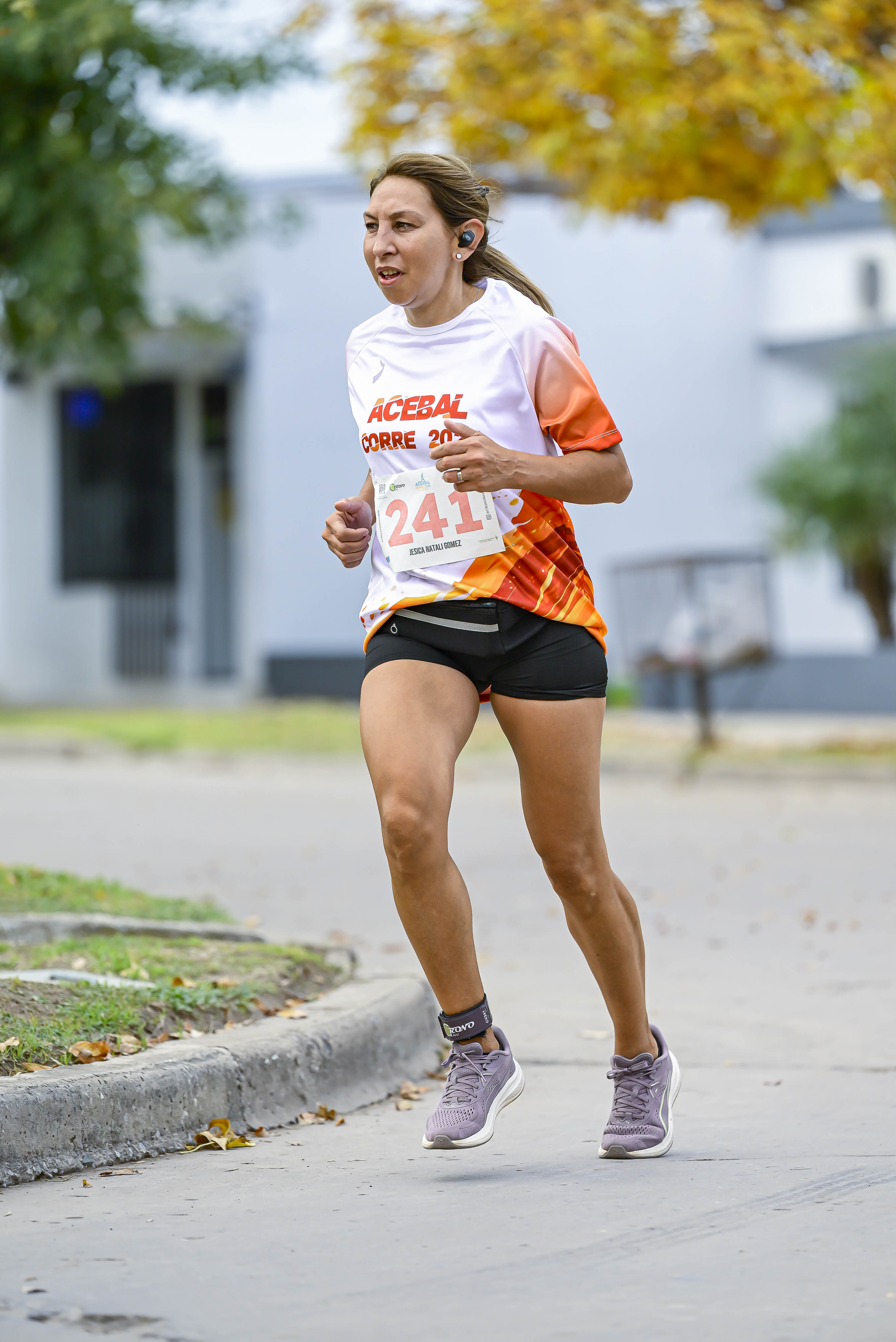 Foto Dorsal 241