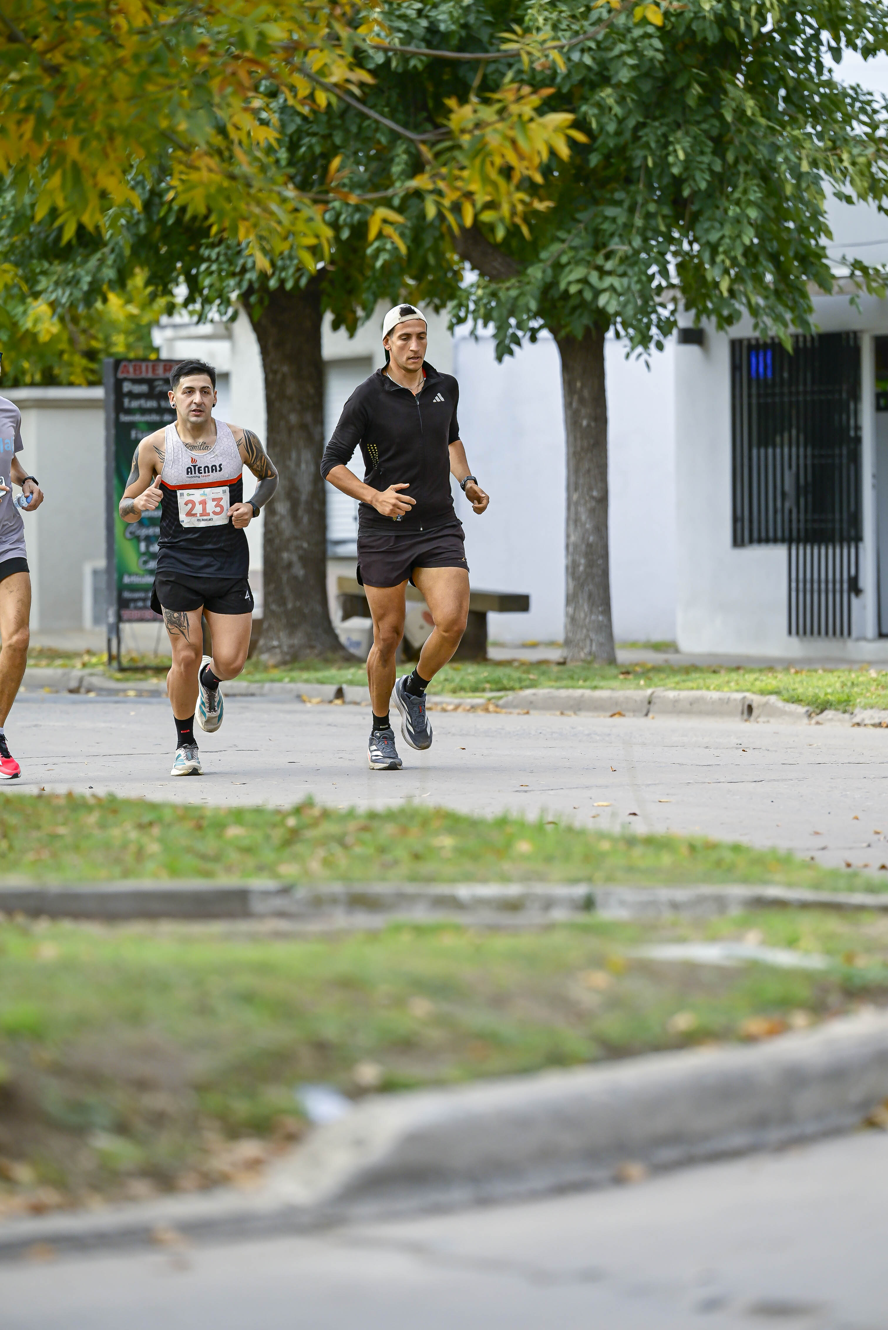 Foto Dorsal 213