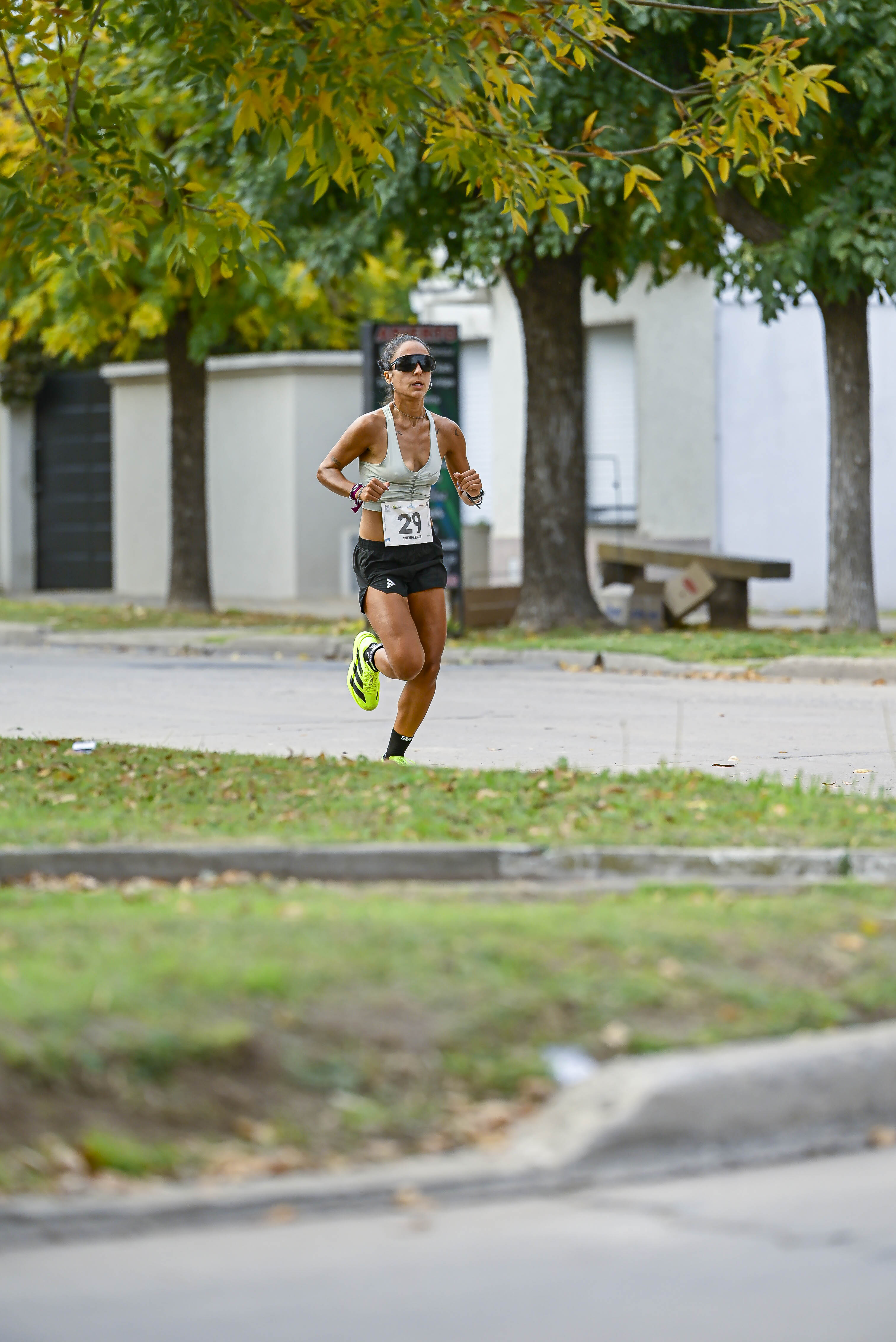 Foto Dorsal 29