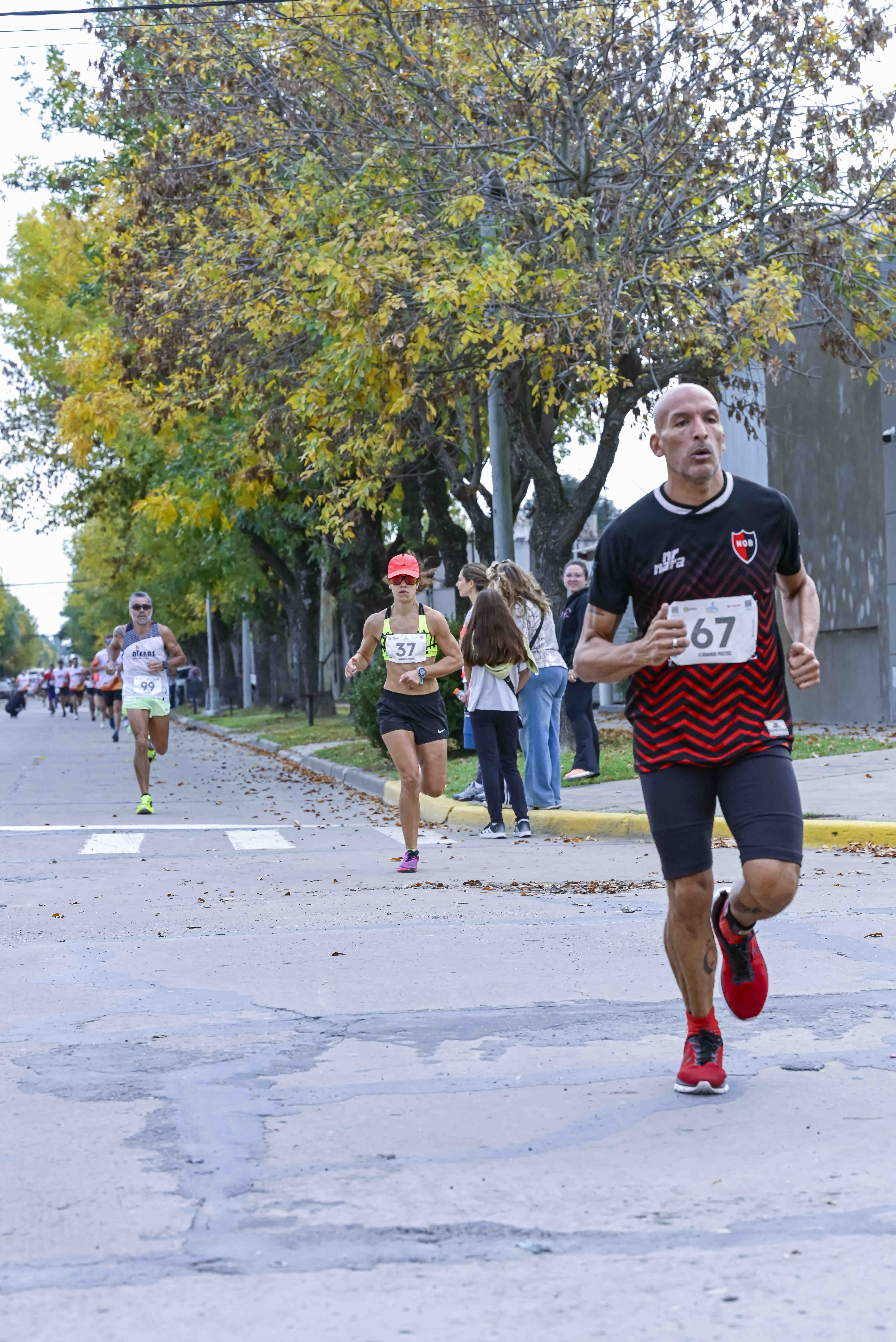 Foto Dorsal 67