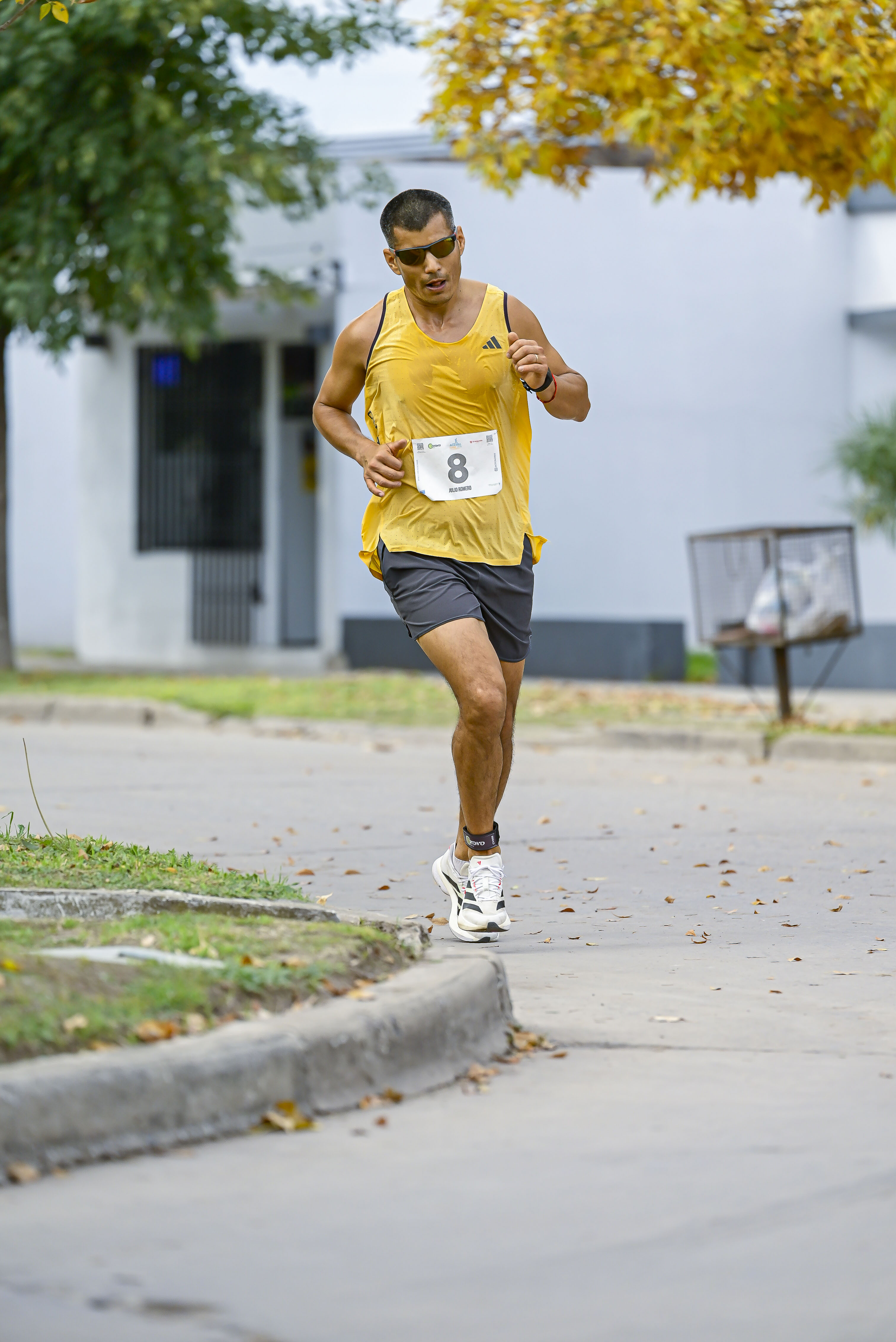 Foto Dorsal 8