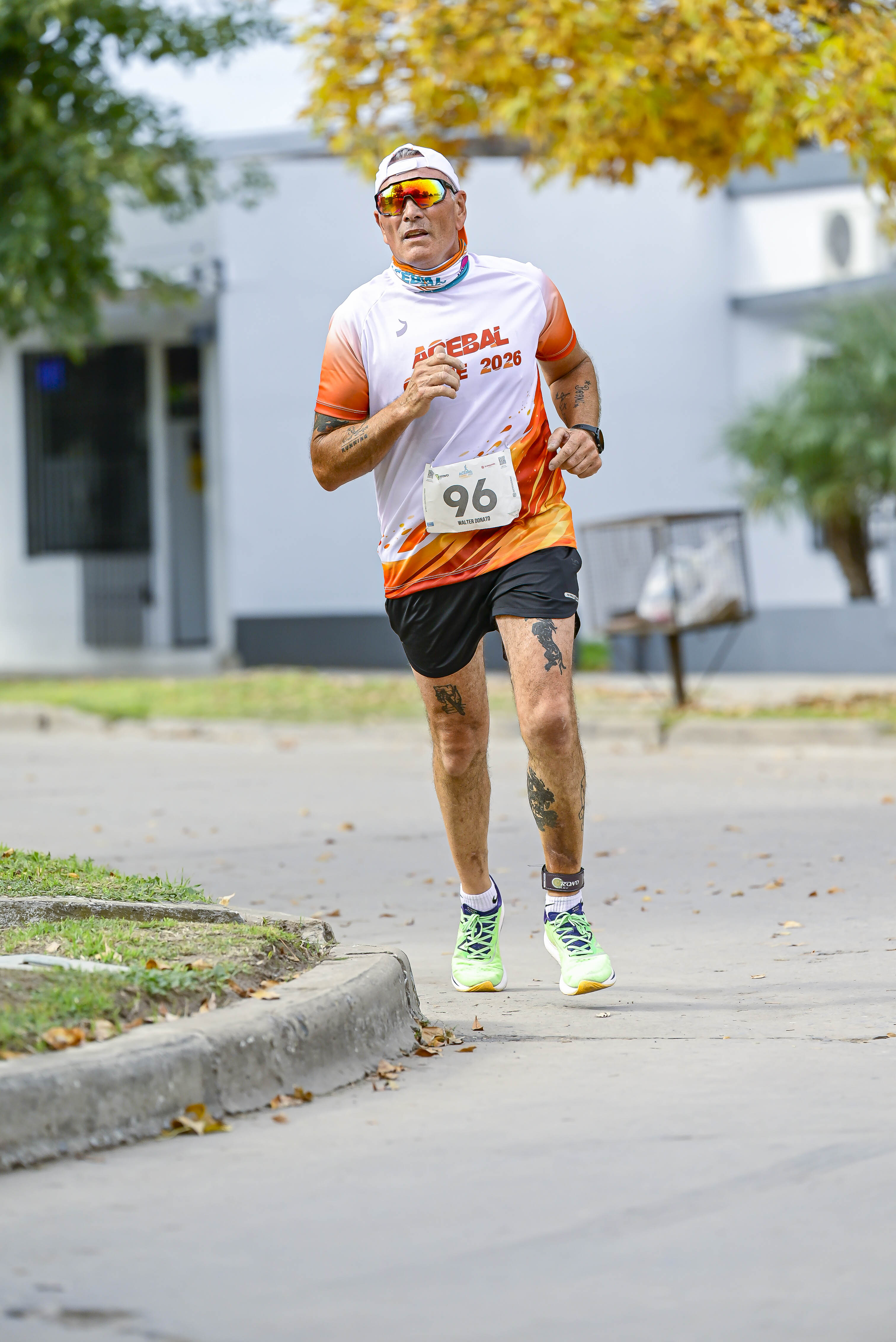 Foto Dorsal 96