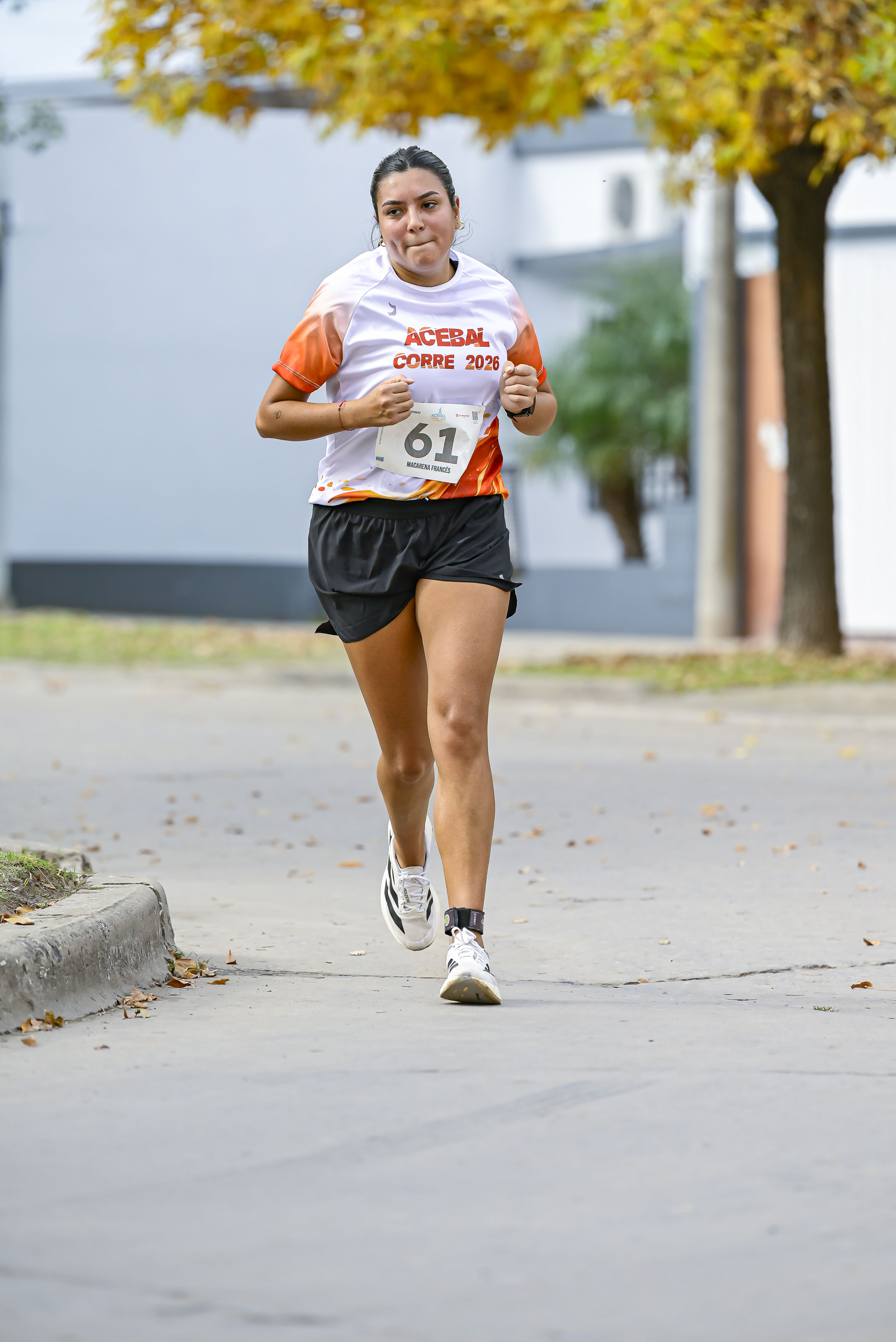 Foto Dorsal 61