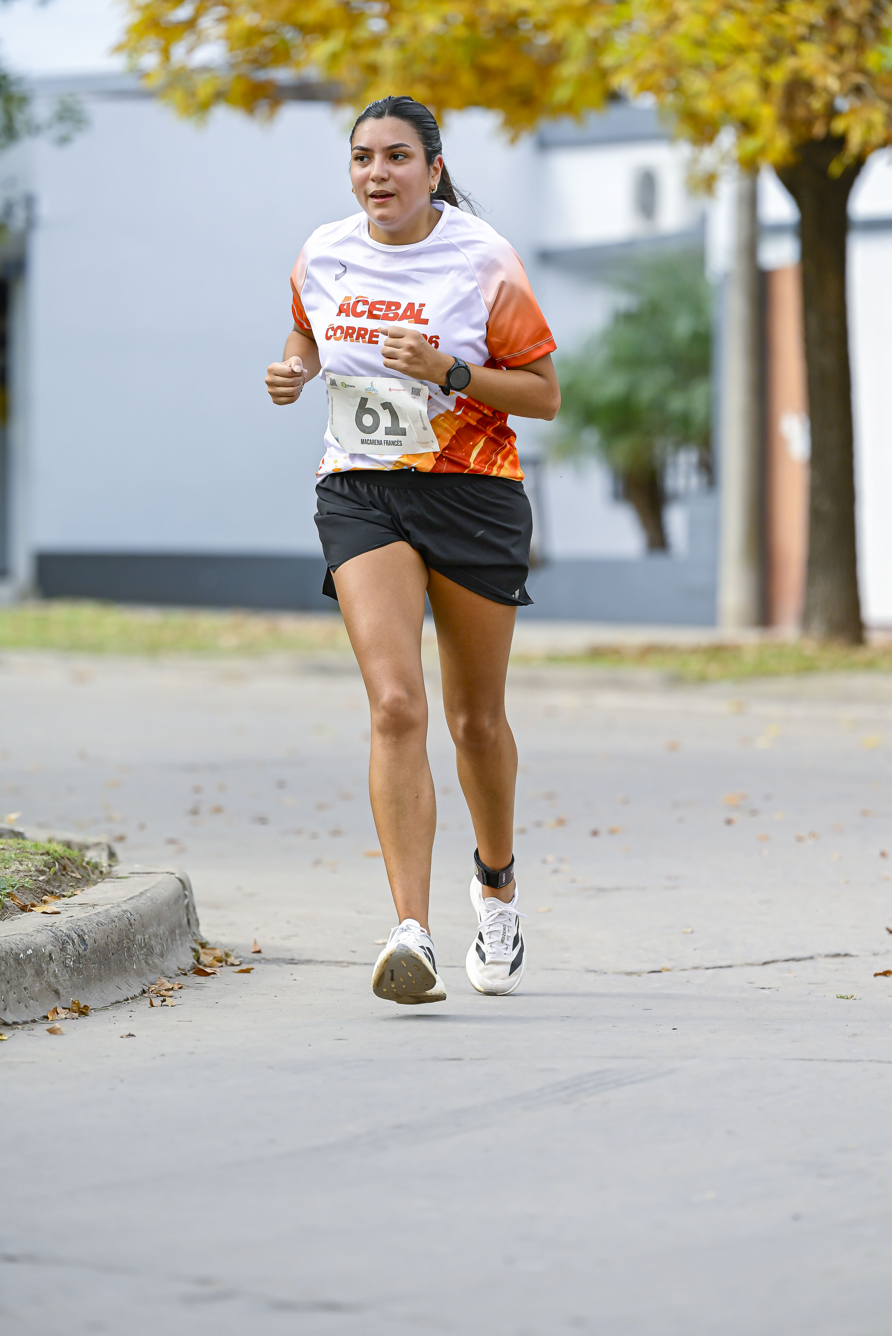 Foto Dorsal 61