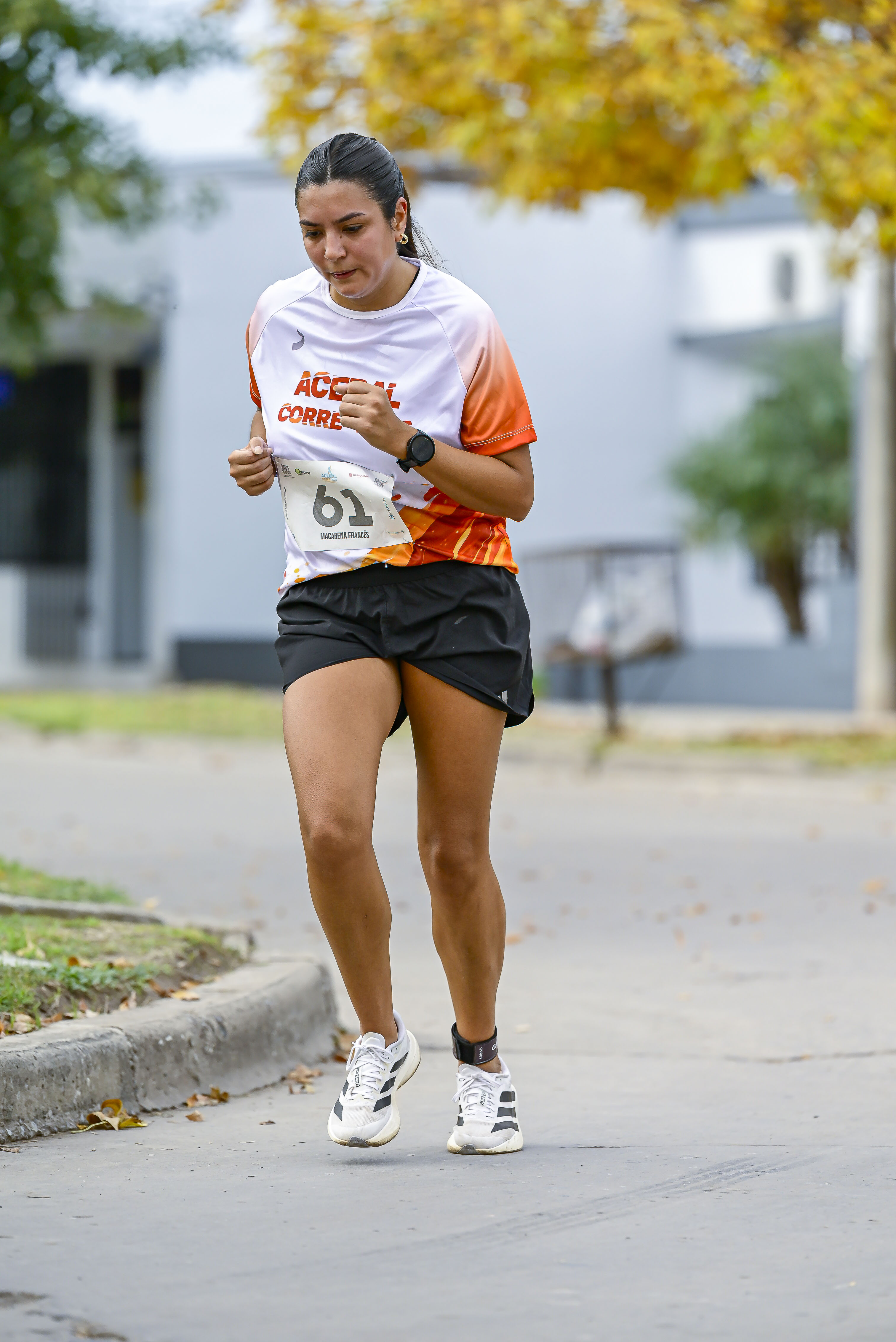 Foto Dorsal 61