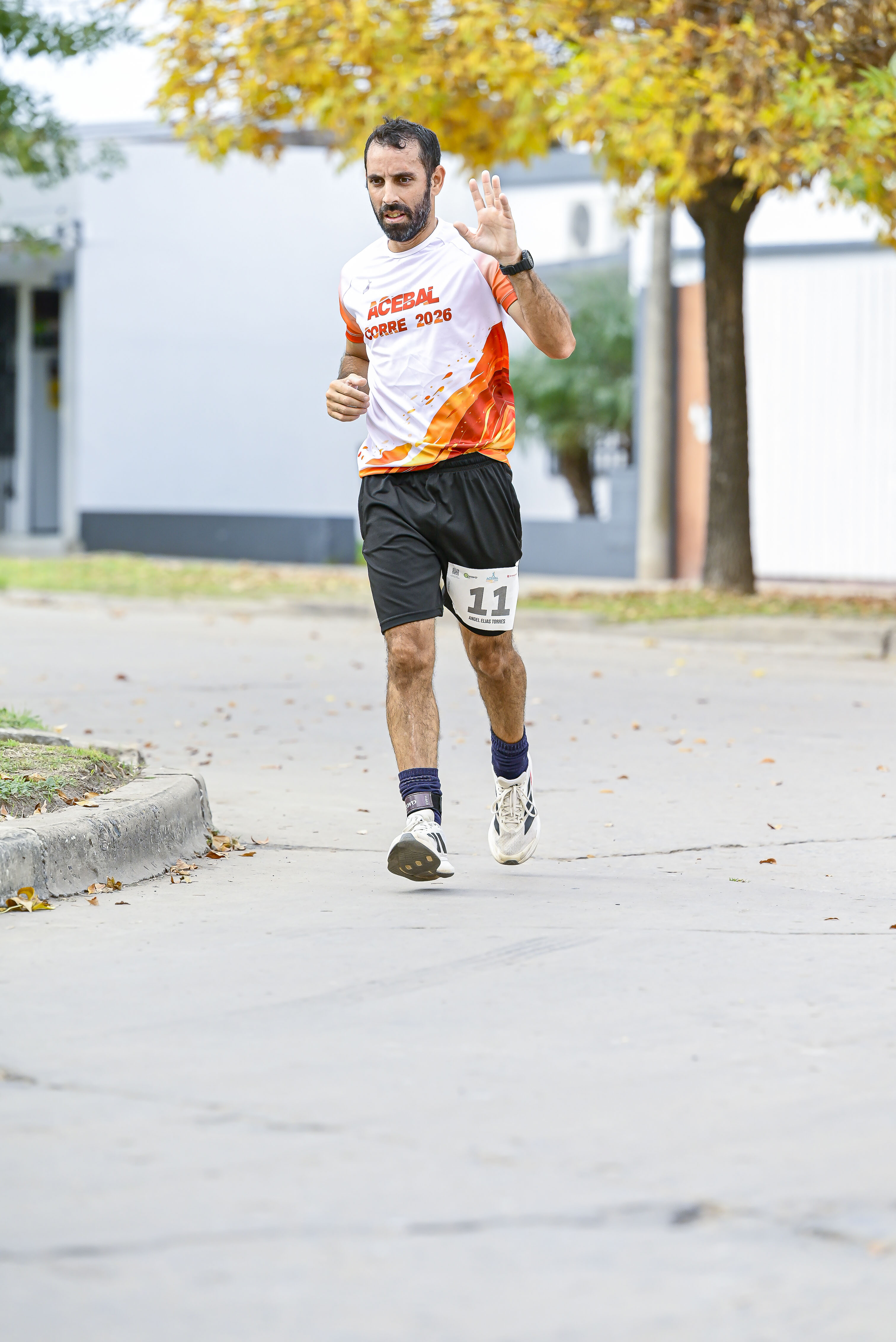 Foto Dorsal 11