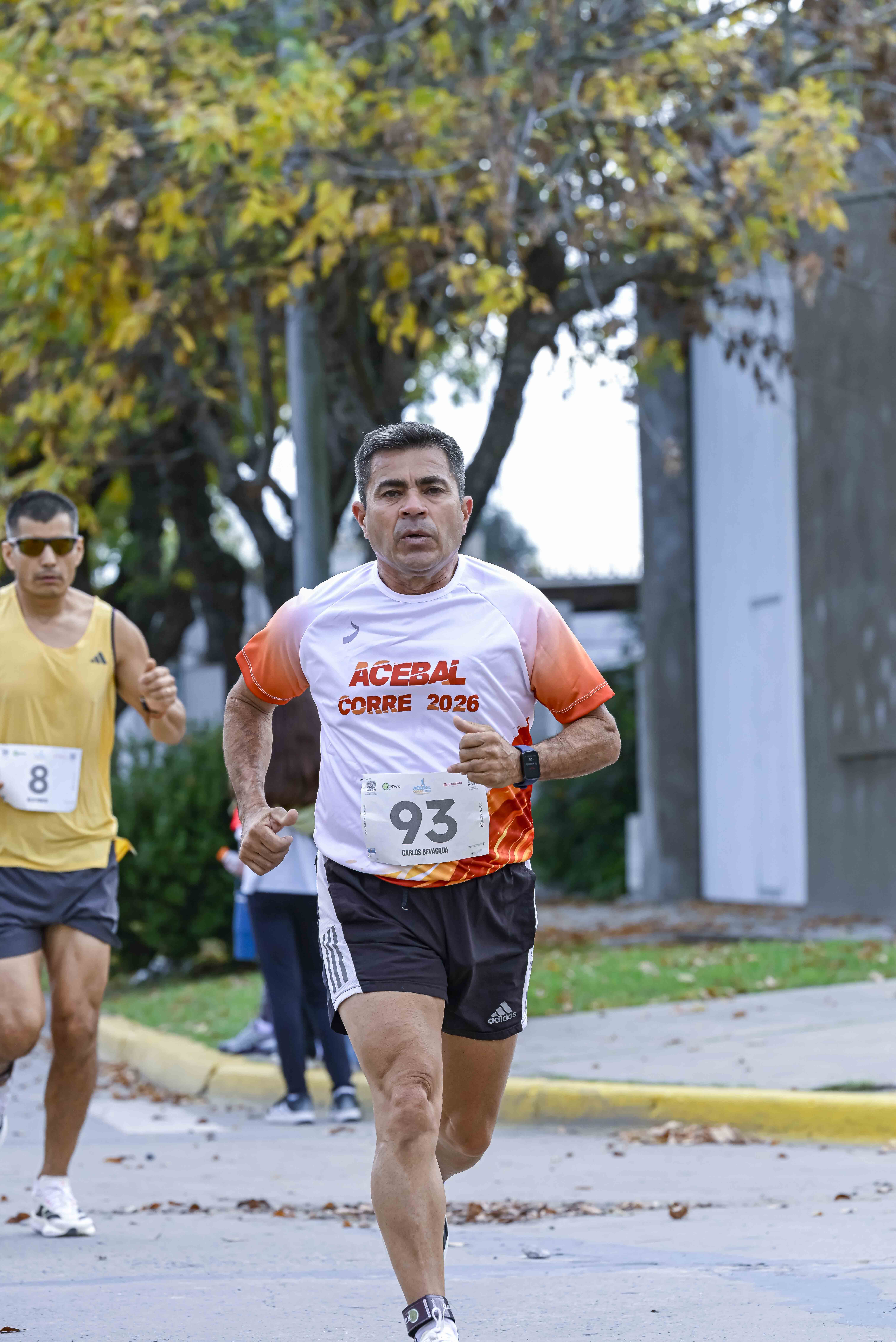 Foto Dorsal 93