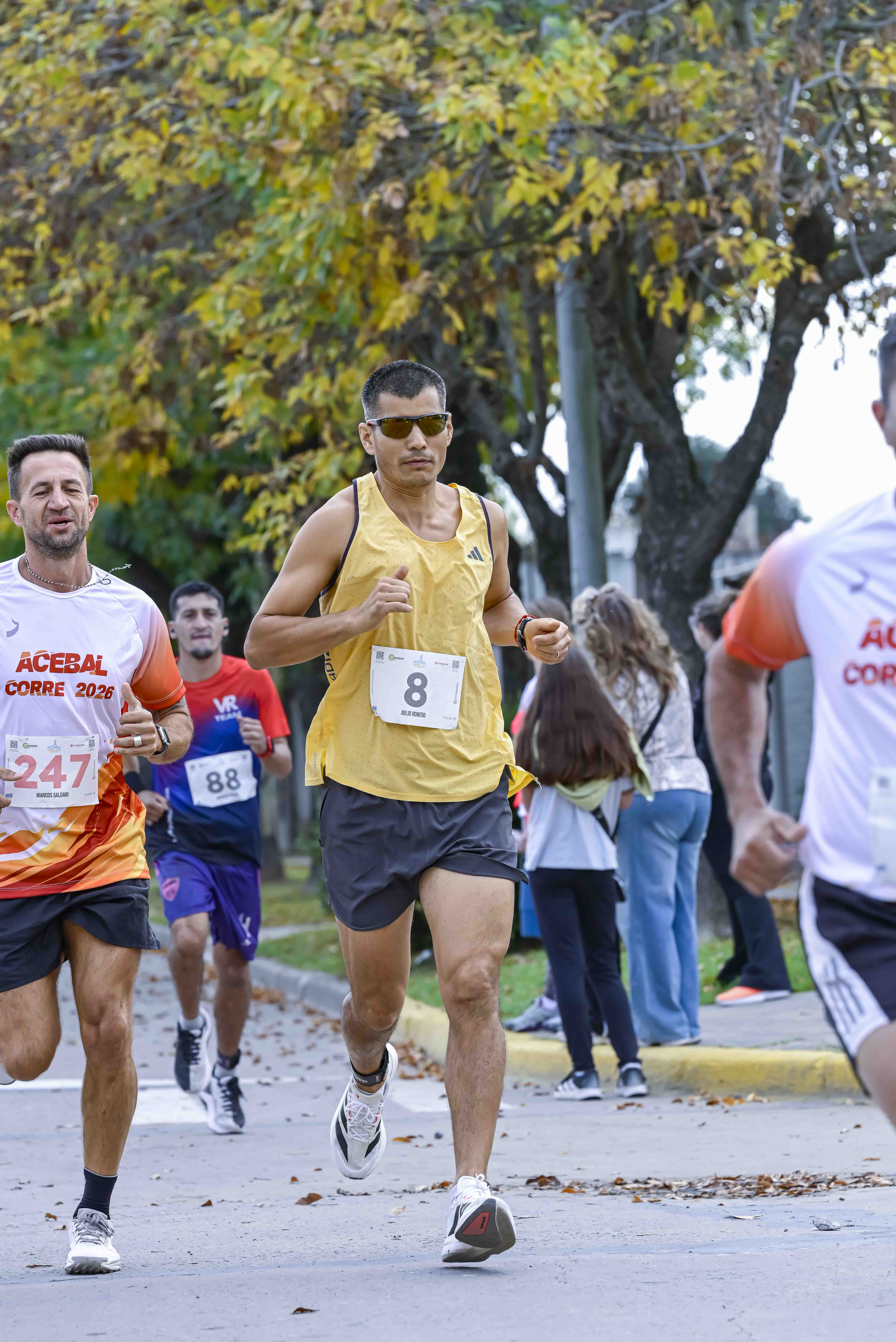 Foto Dorsal 247