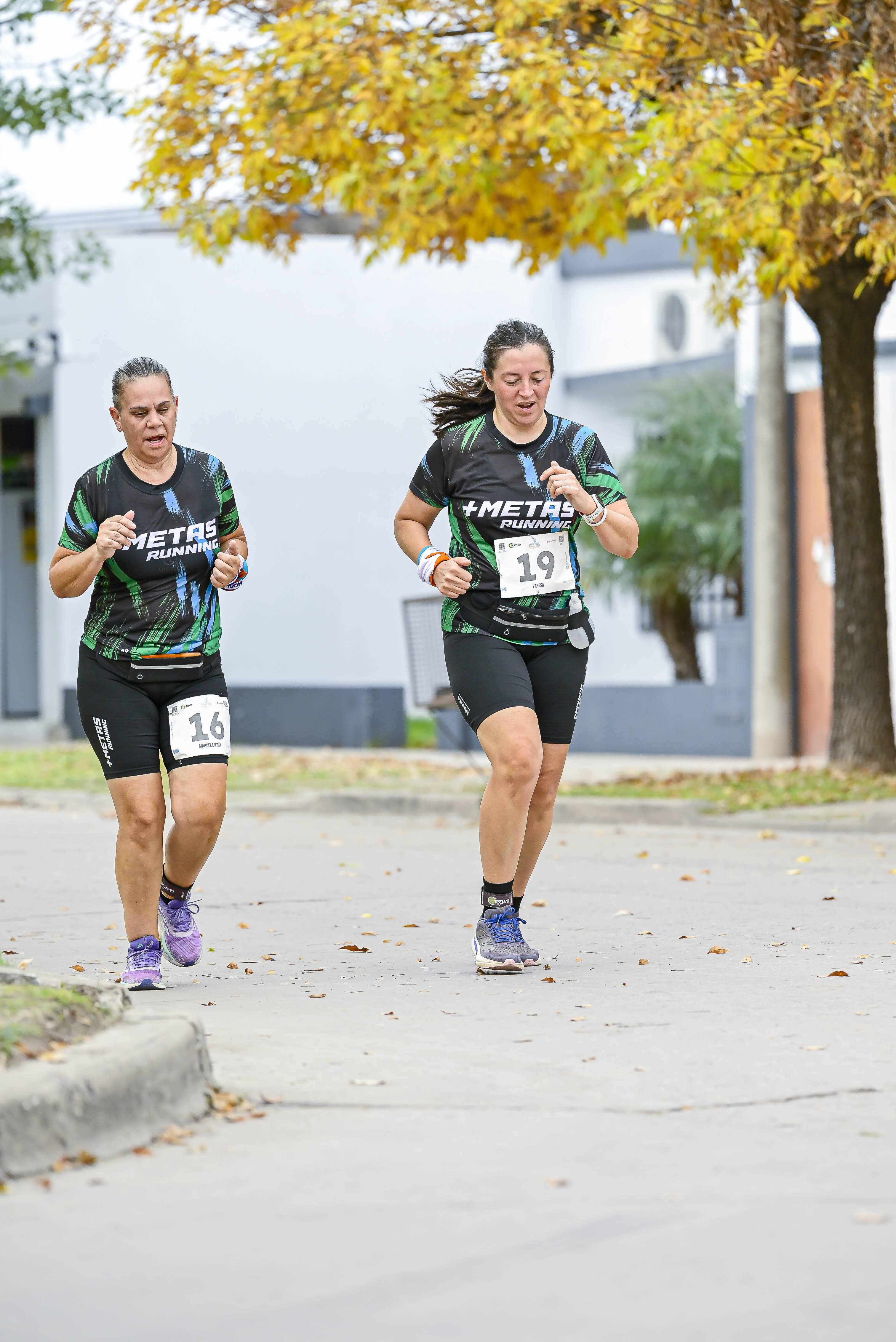 Foto Dorsal 16