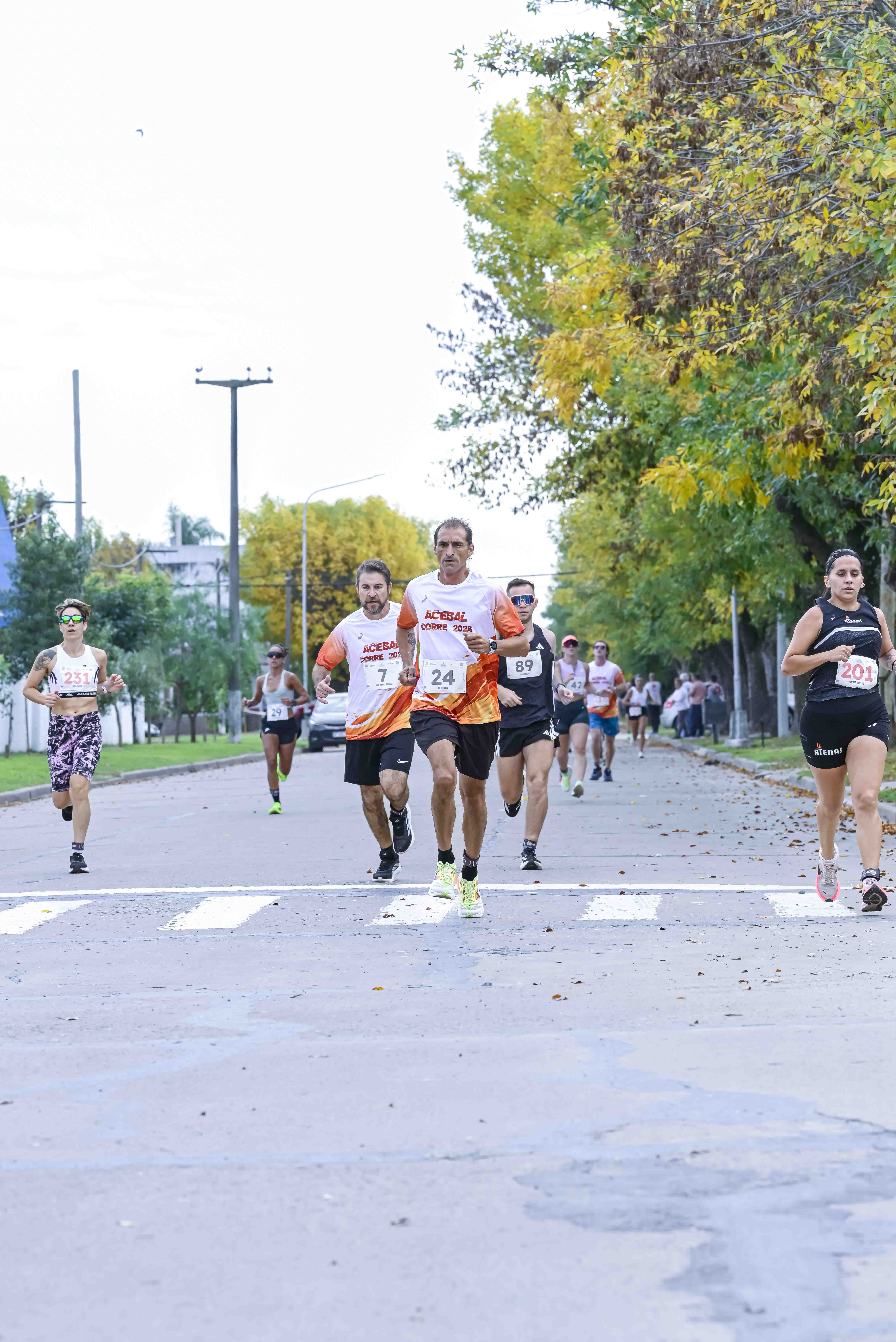 Foto Dorsal 24