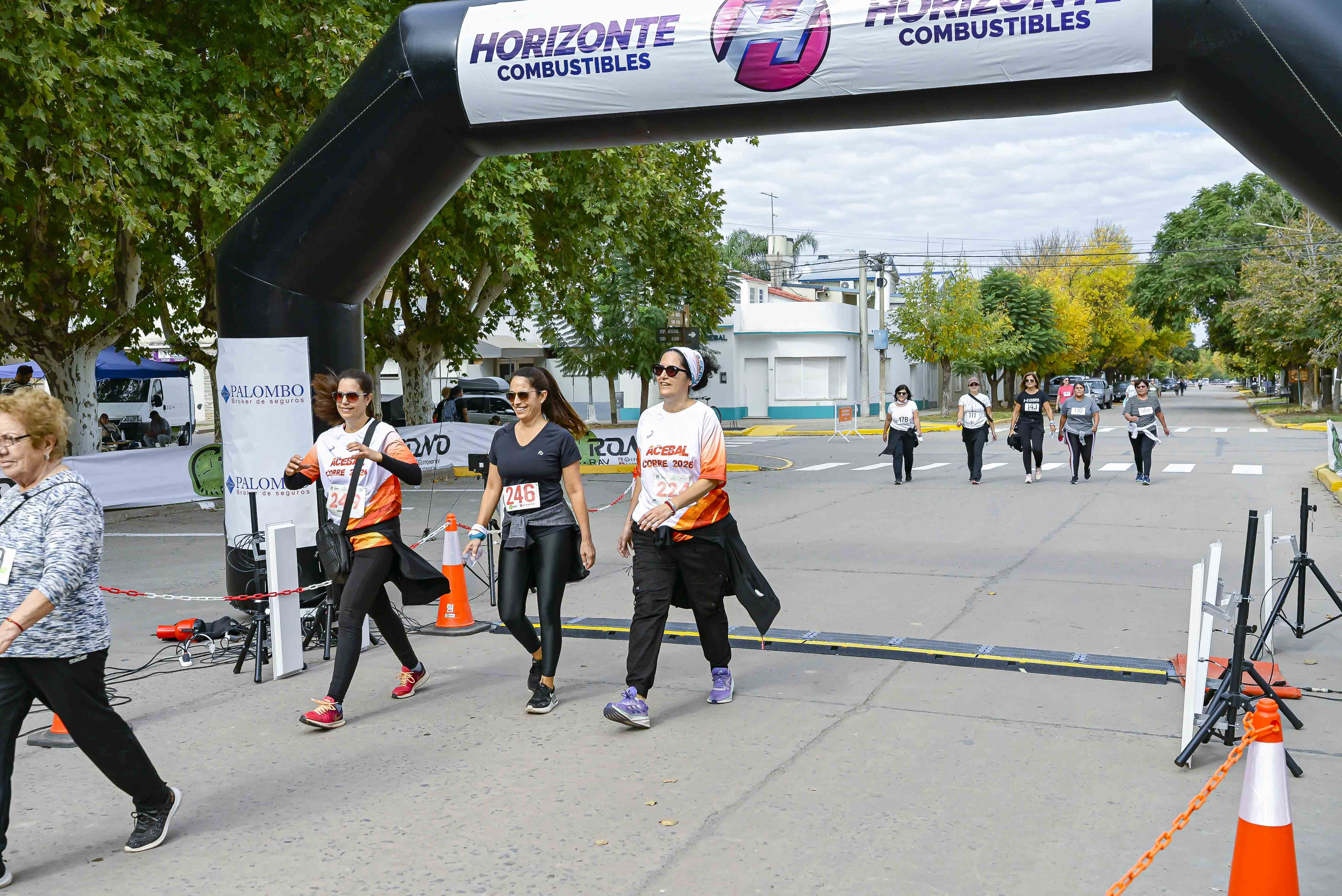 Foto Dorsal 246