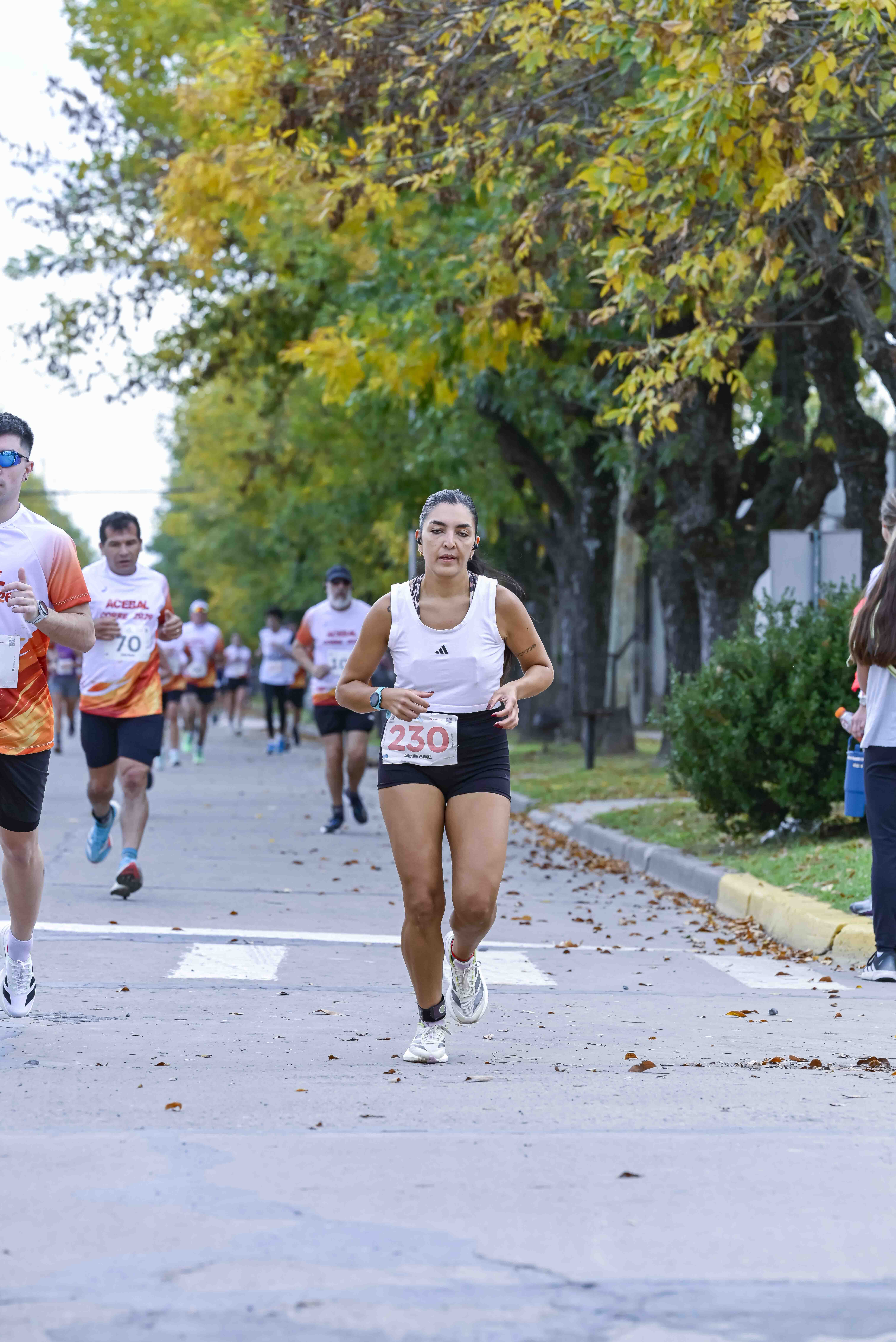 Foto Dorsal 230