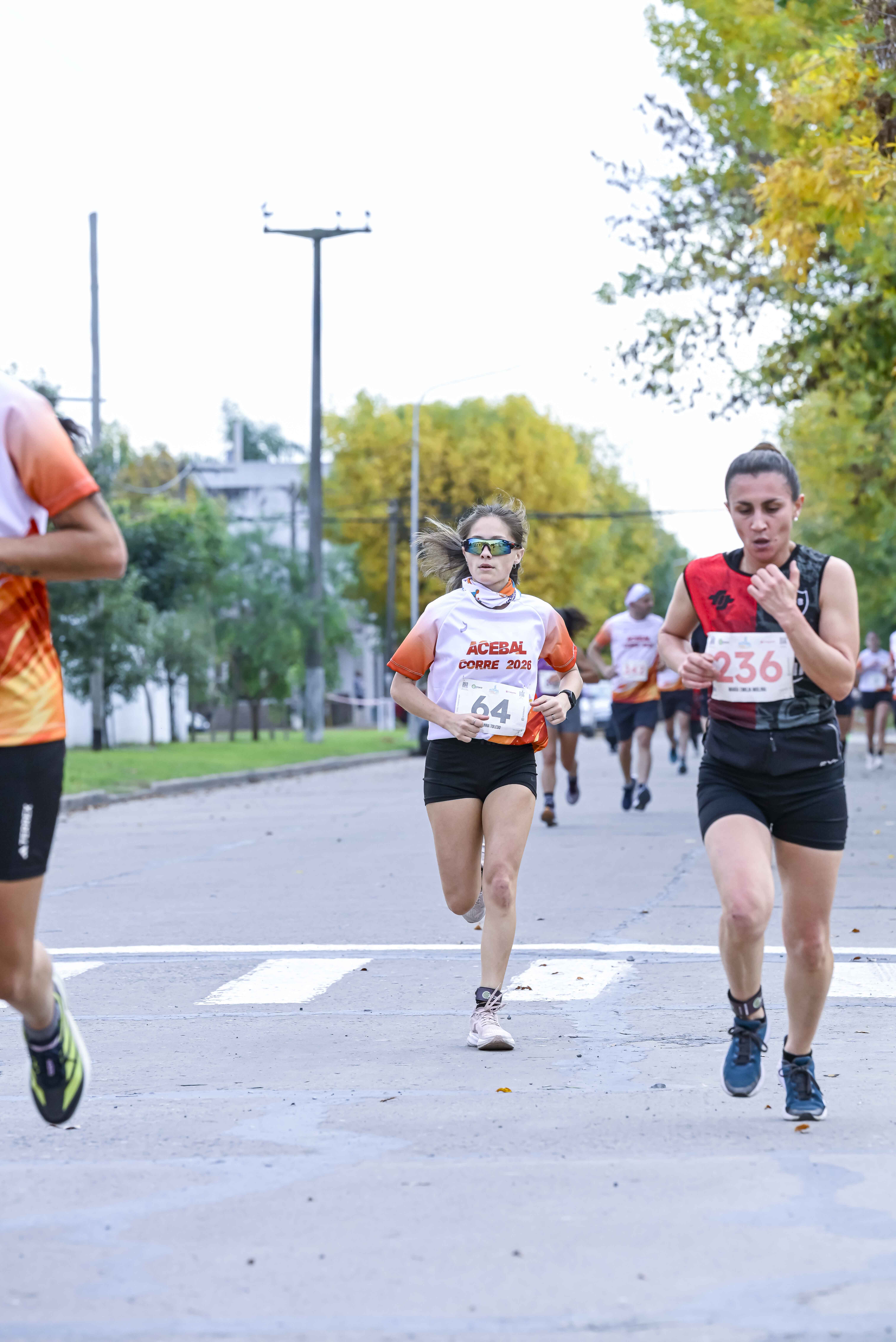 Foto Dorsal 236