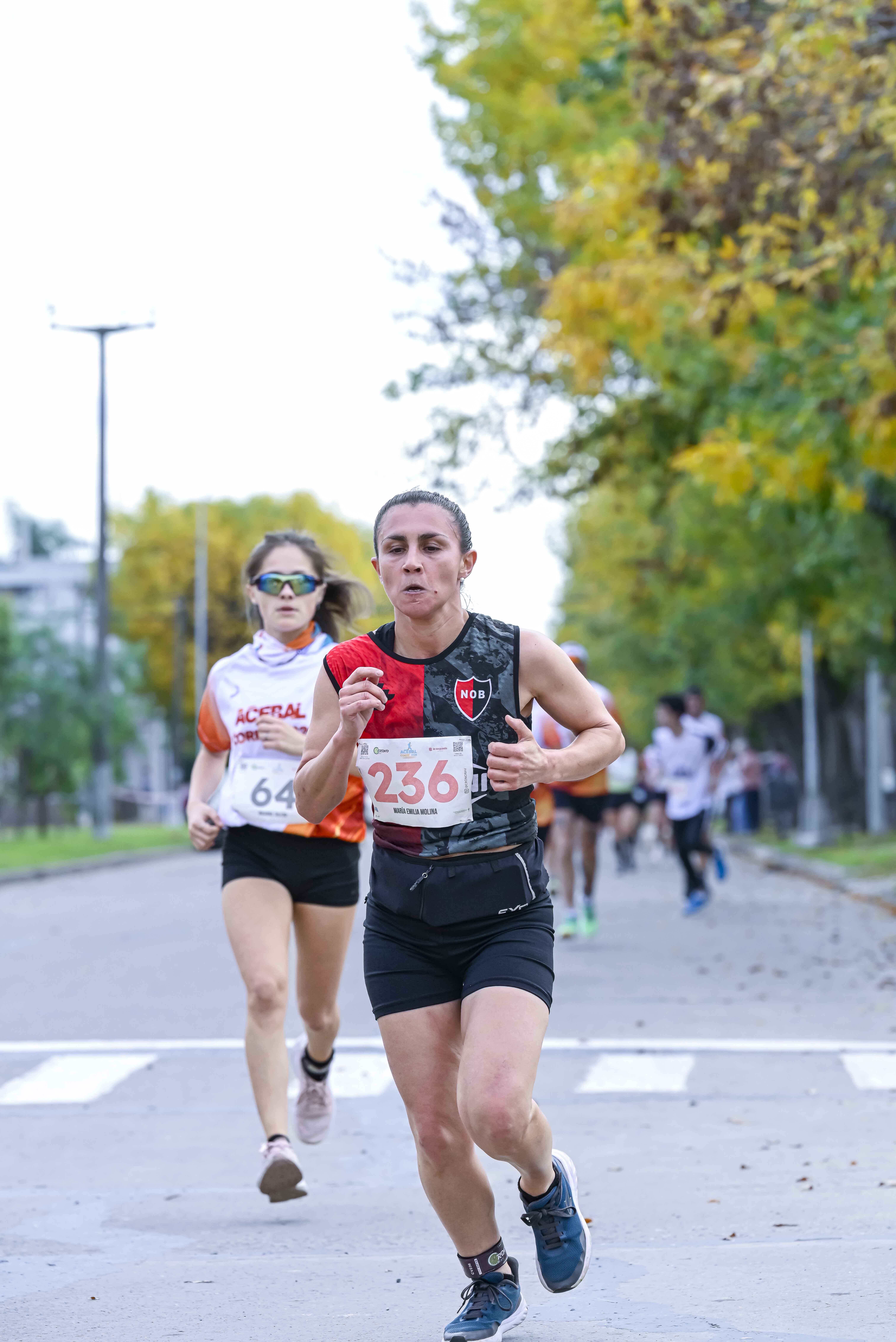 Foto Dorsal 236
