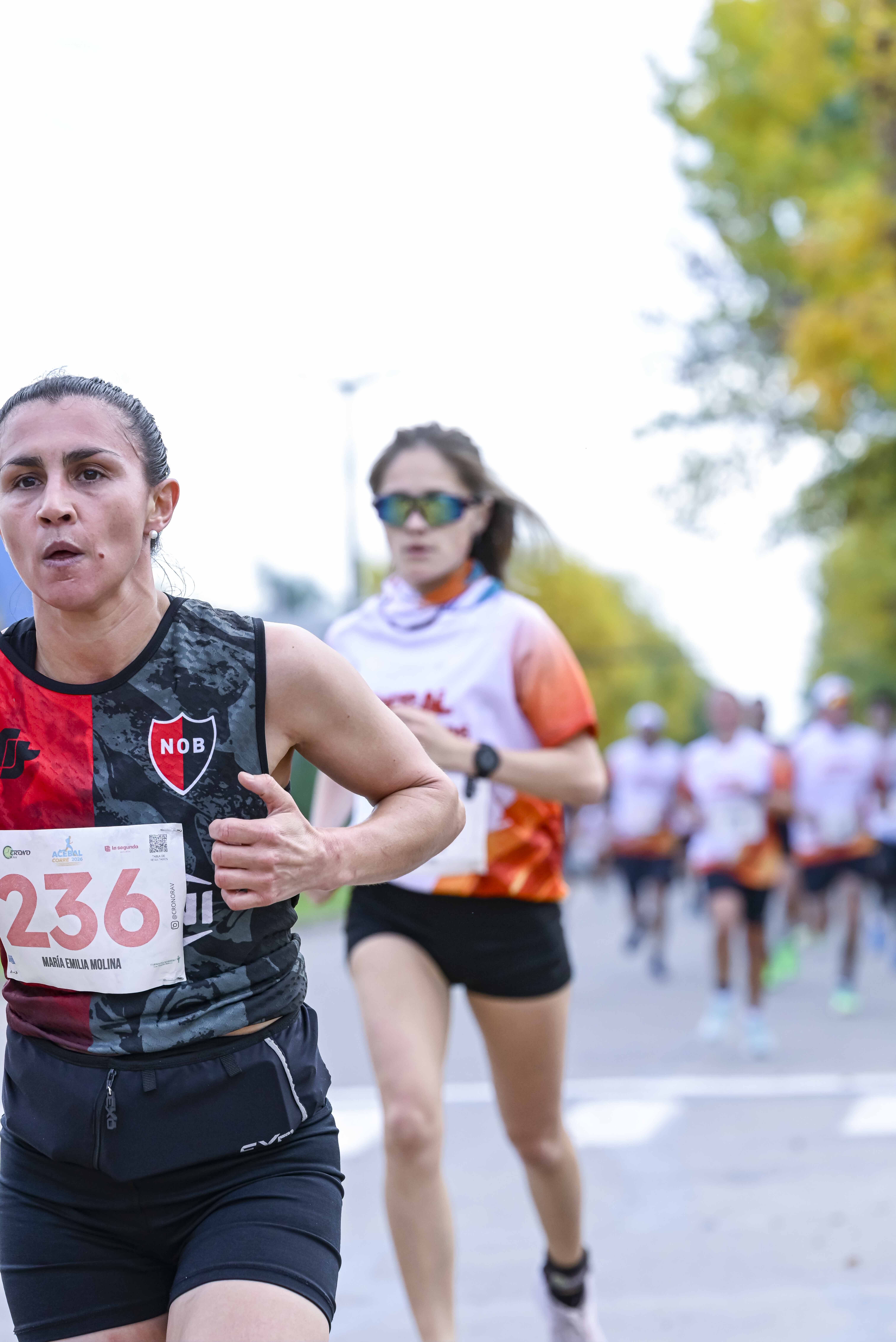 Foto Dorsal 236