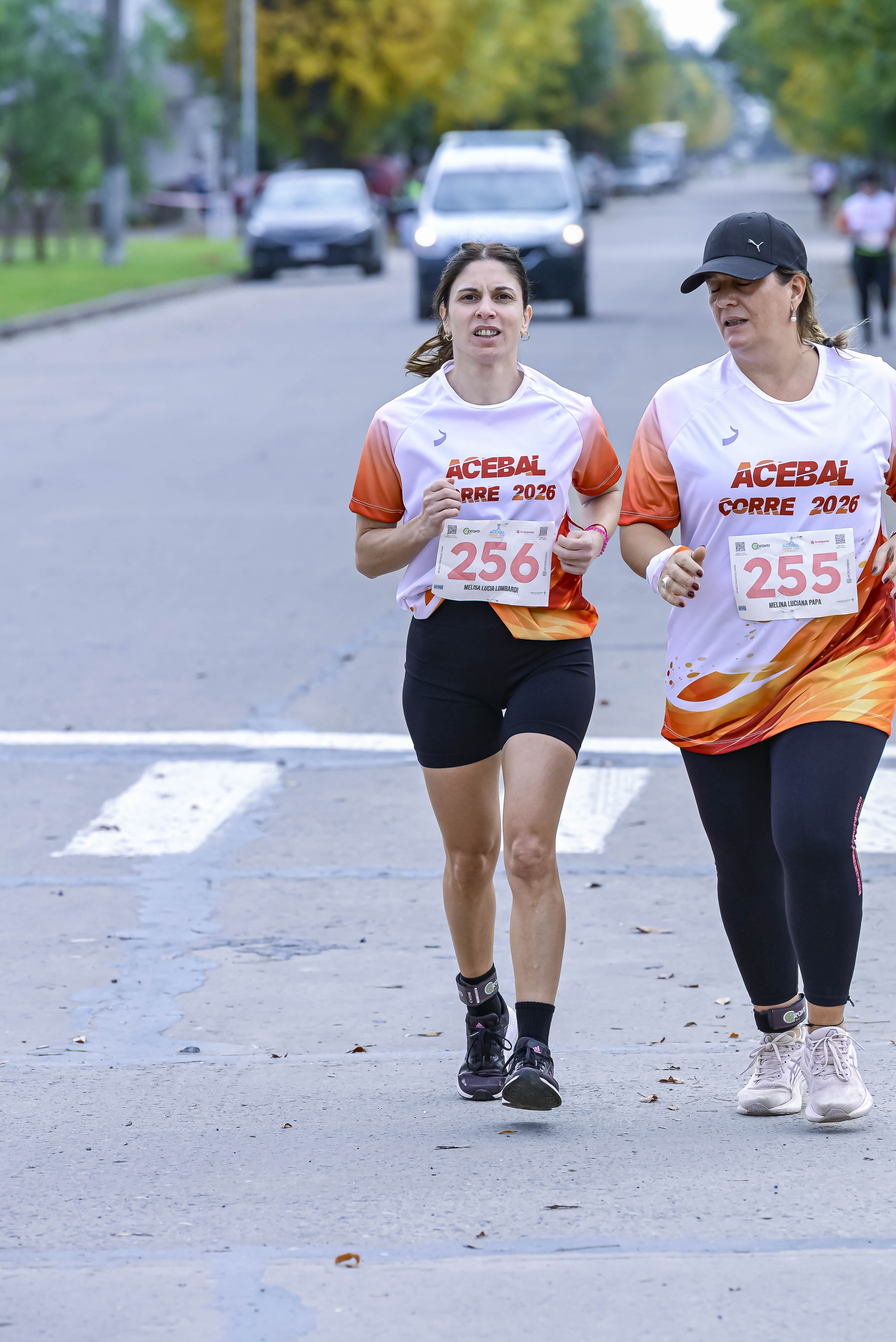 Foto Dorsal 255