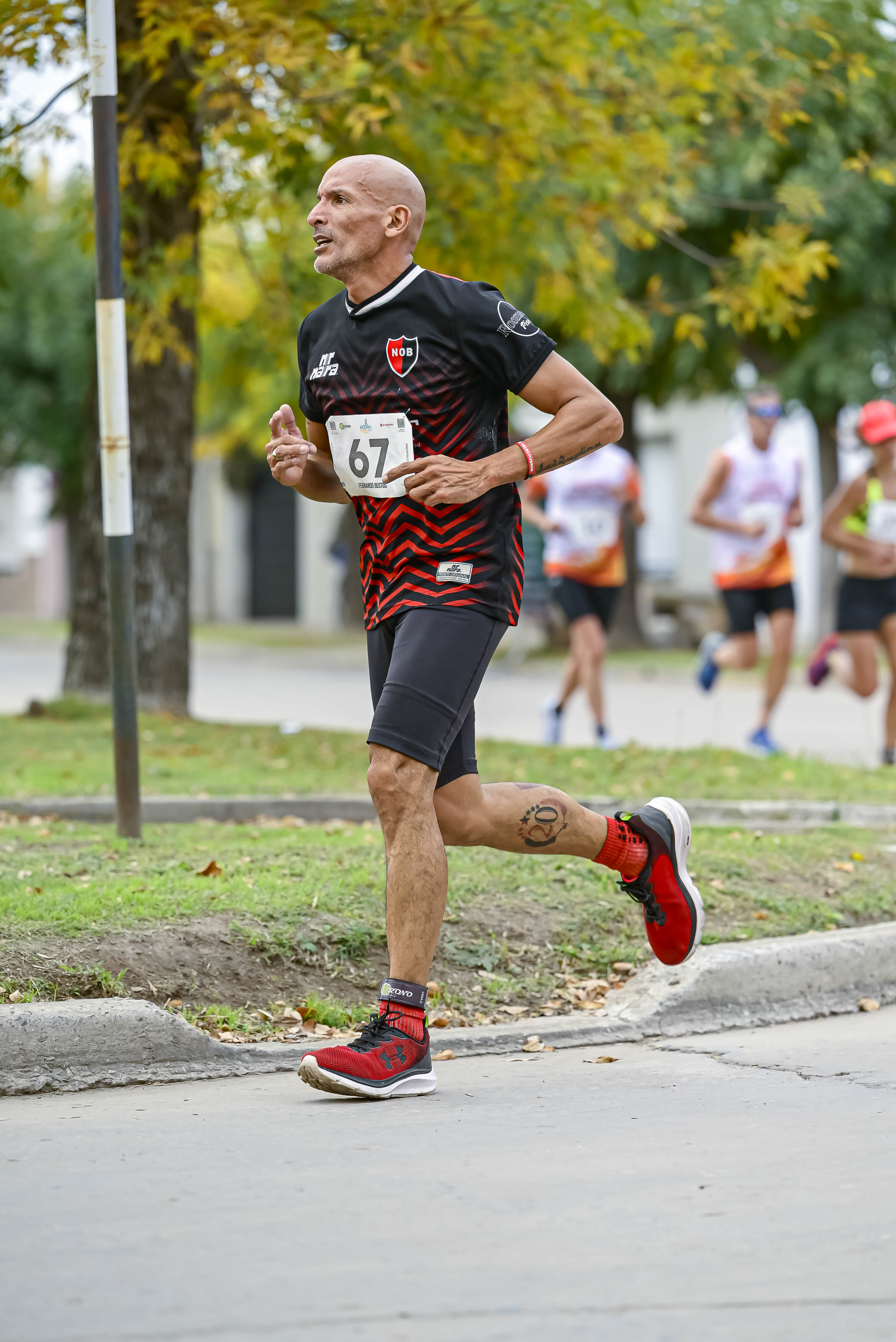 Foto Dorsal 67
