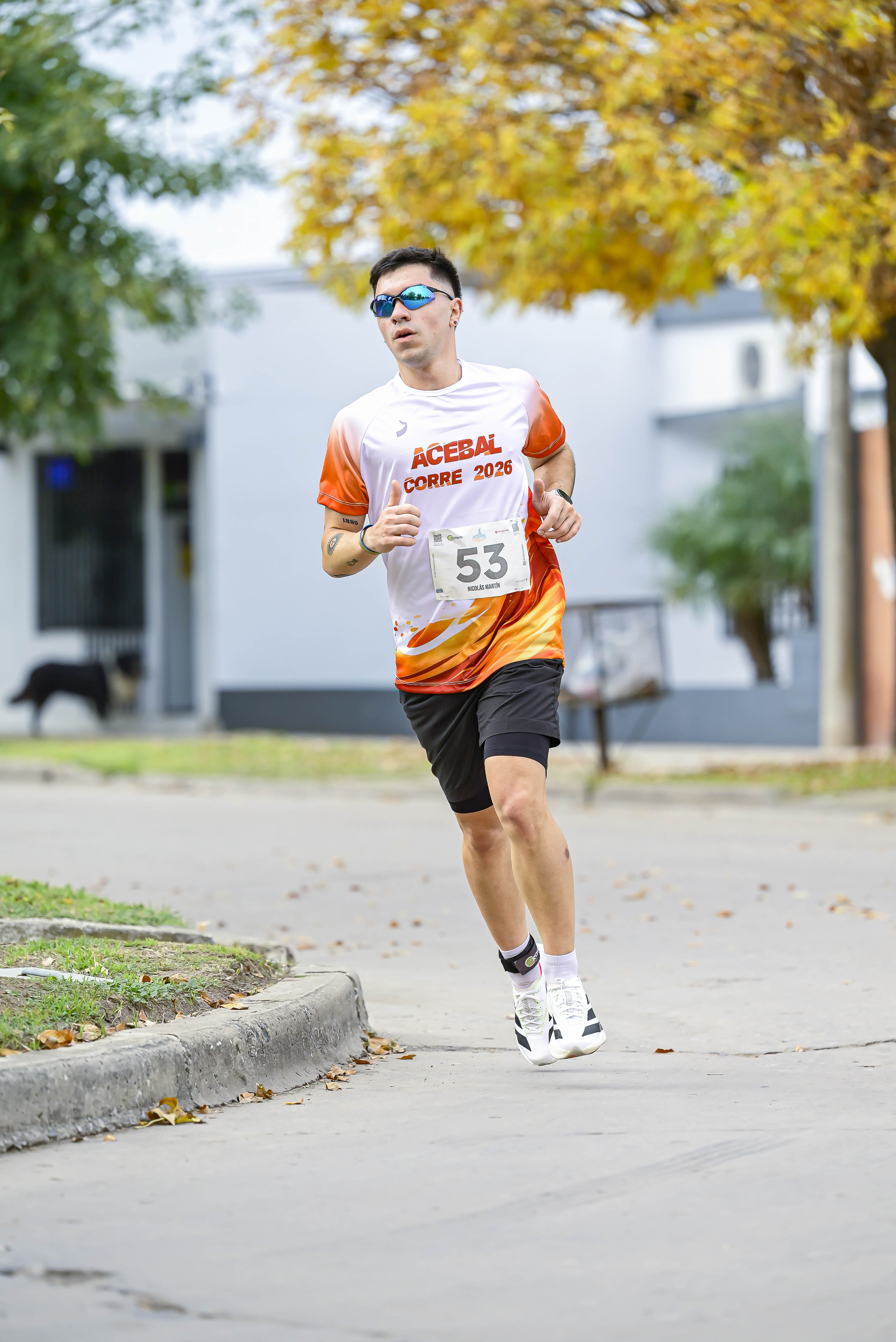 Foto Dorsal 53