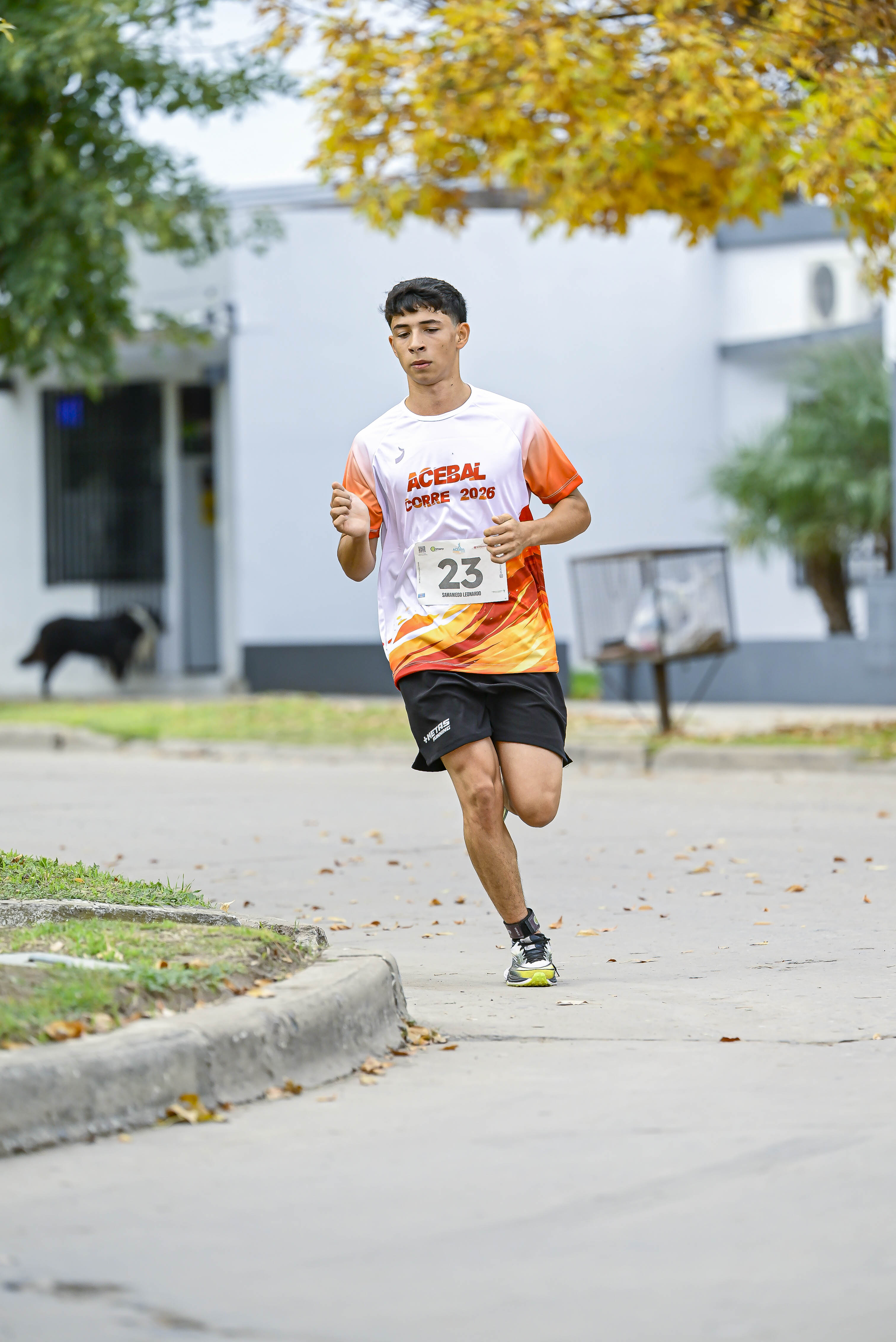 Foto Dorsal 23