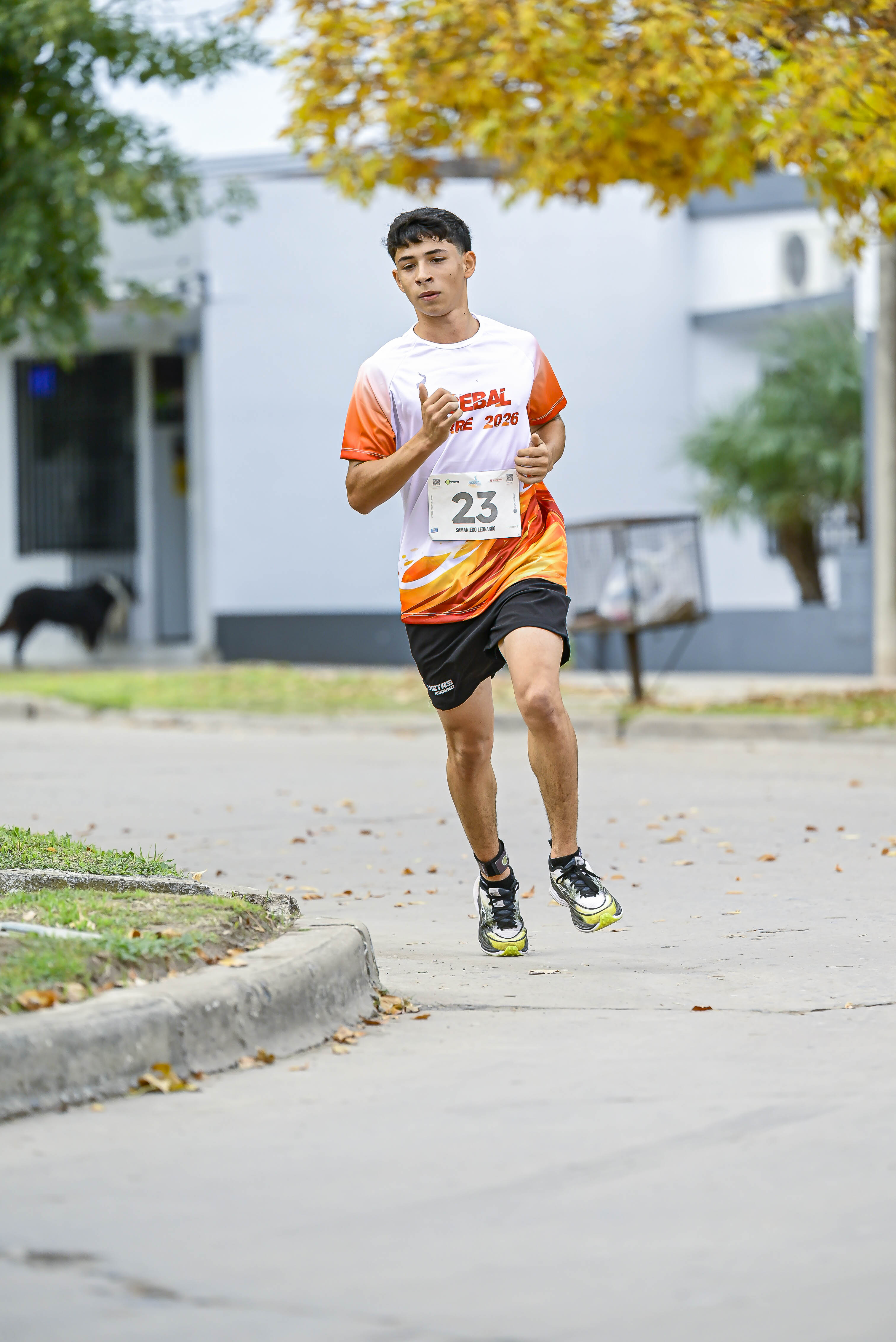 Foto Dorsal 23