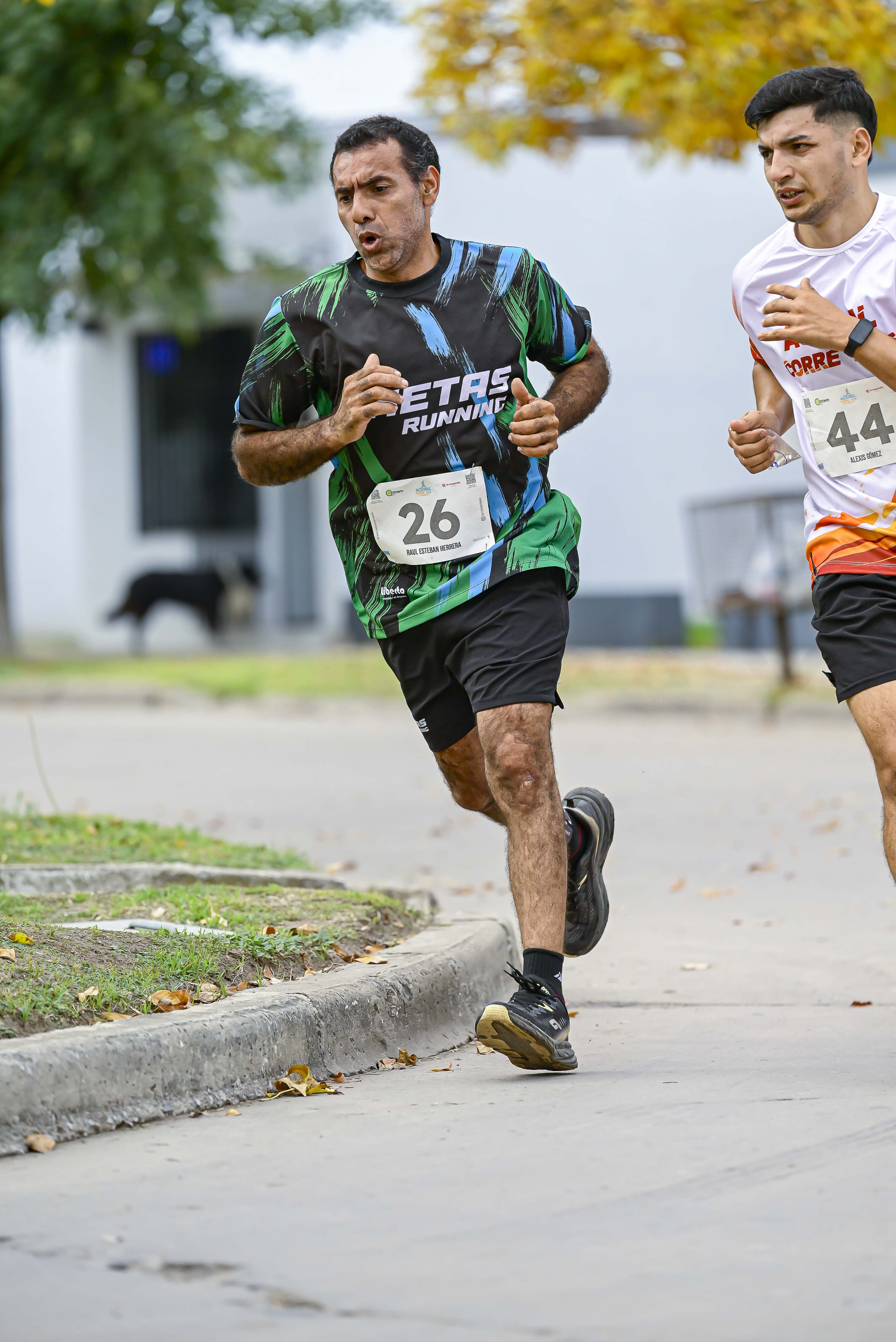 Foto Dorsal 26
