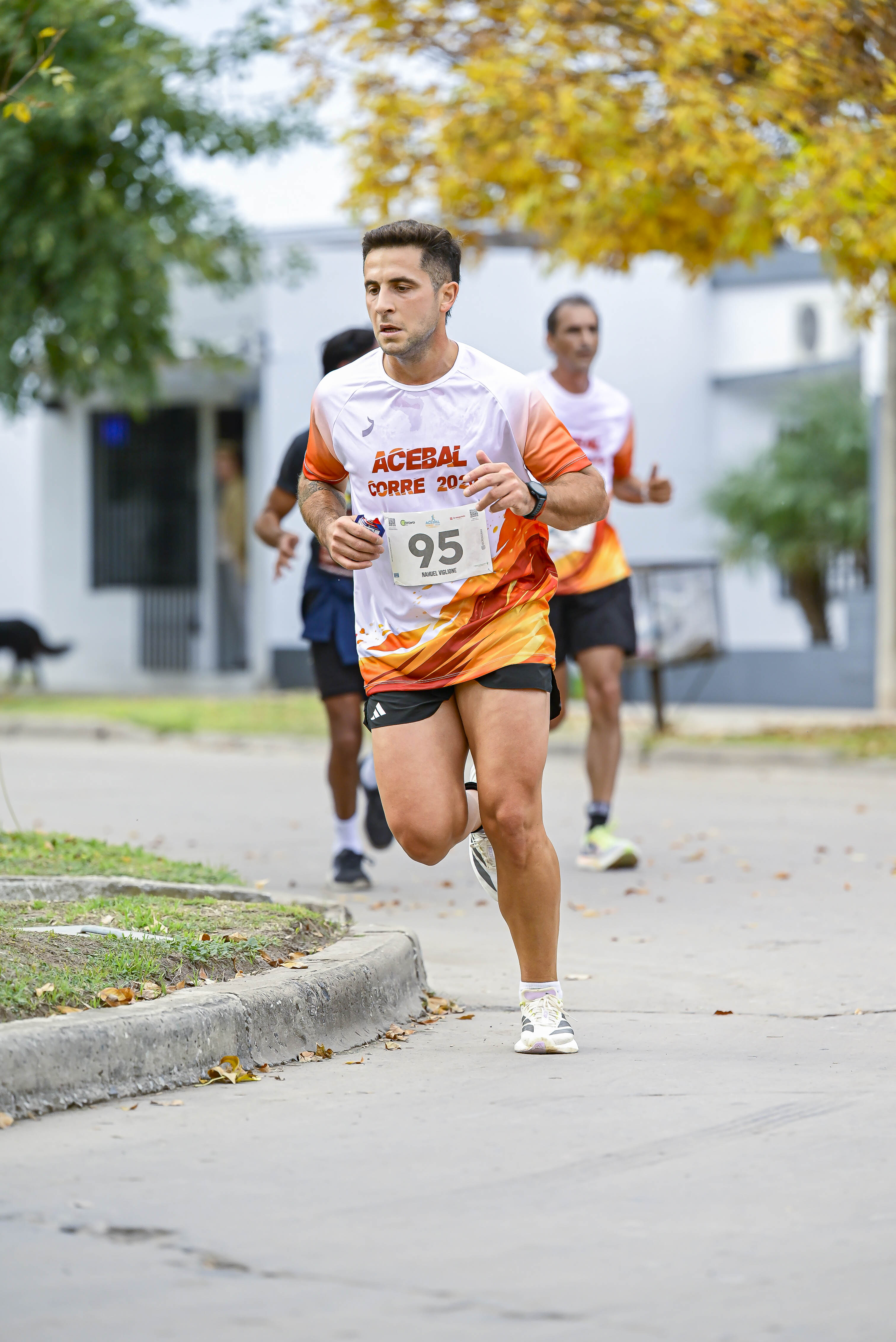 Foto Dorsal 95