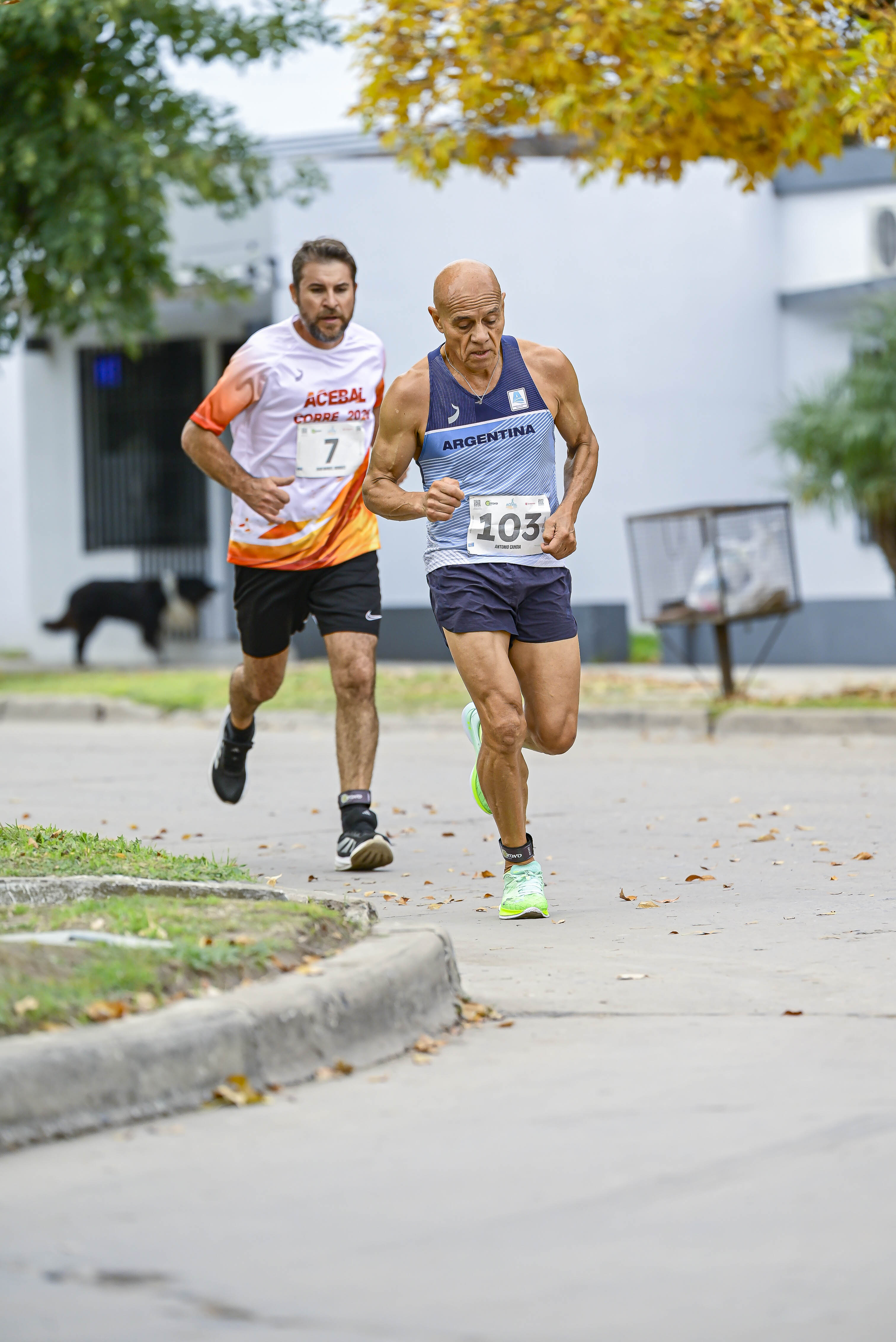 Foto Dorsal 103