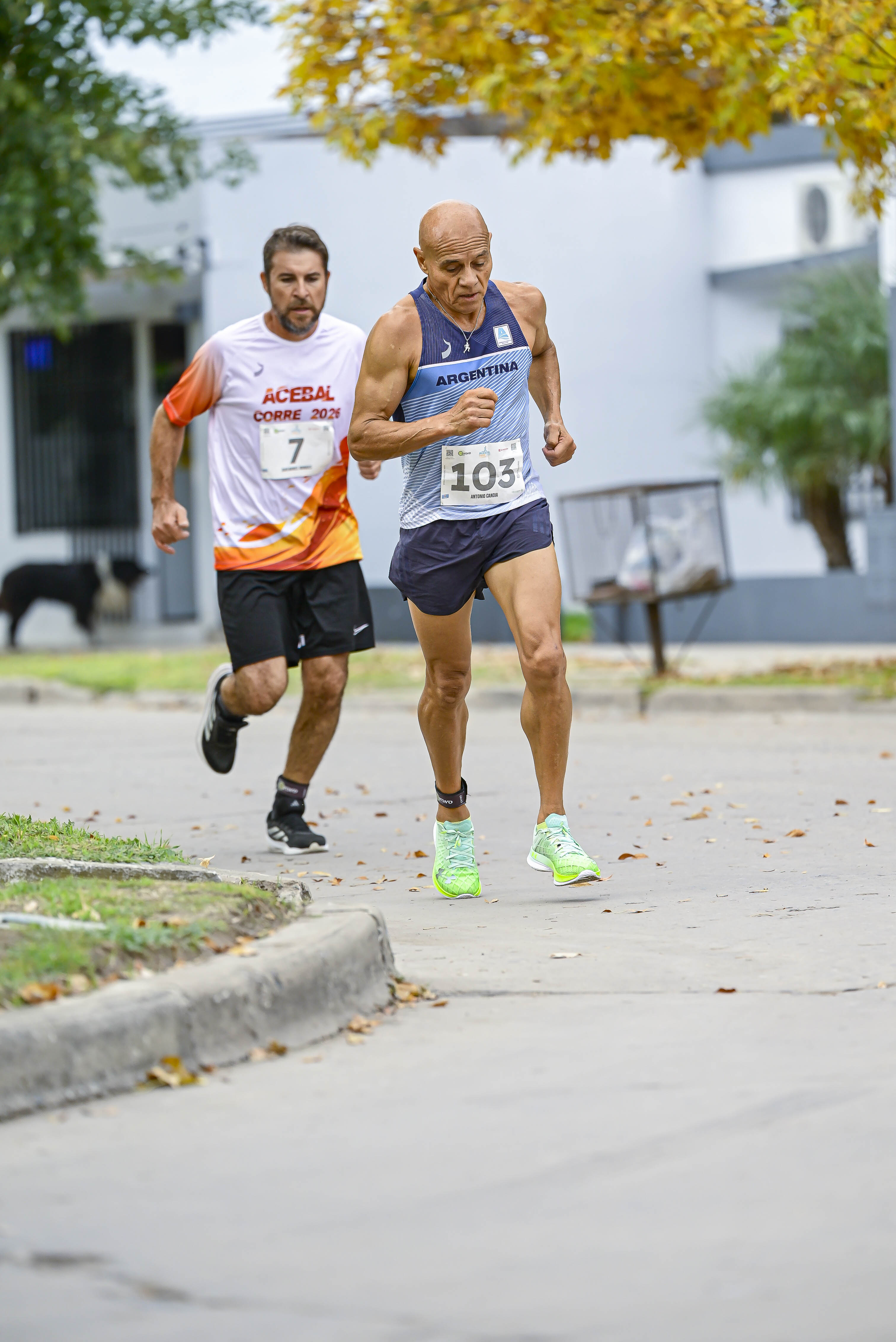 Foto Dorsal 103
