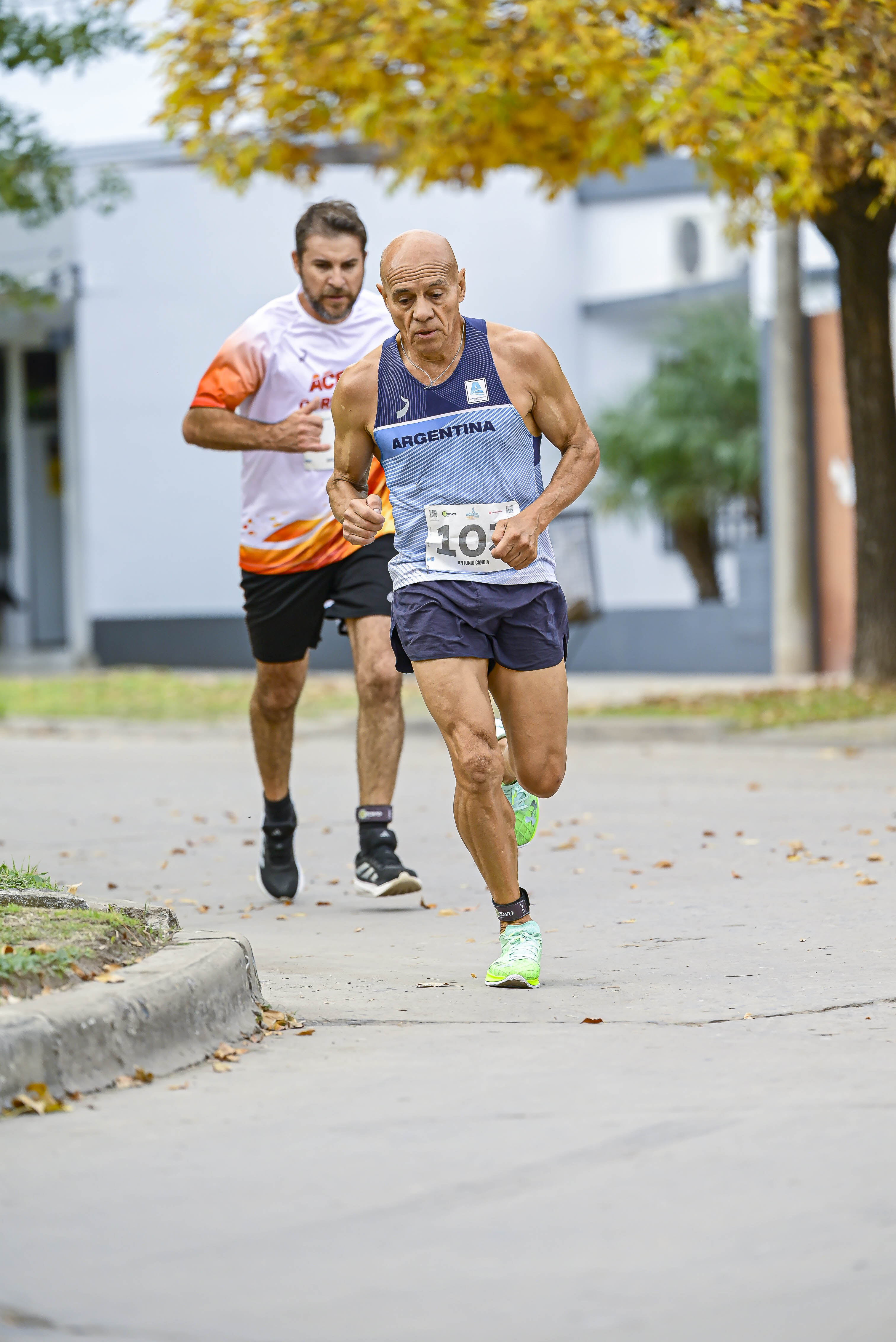 Foto Dorsal 10